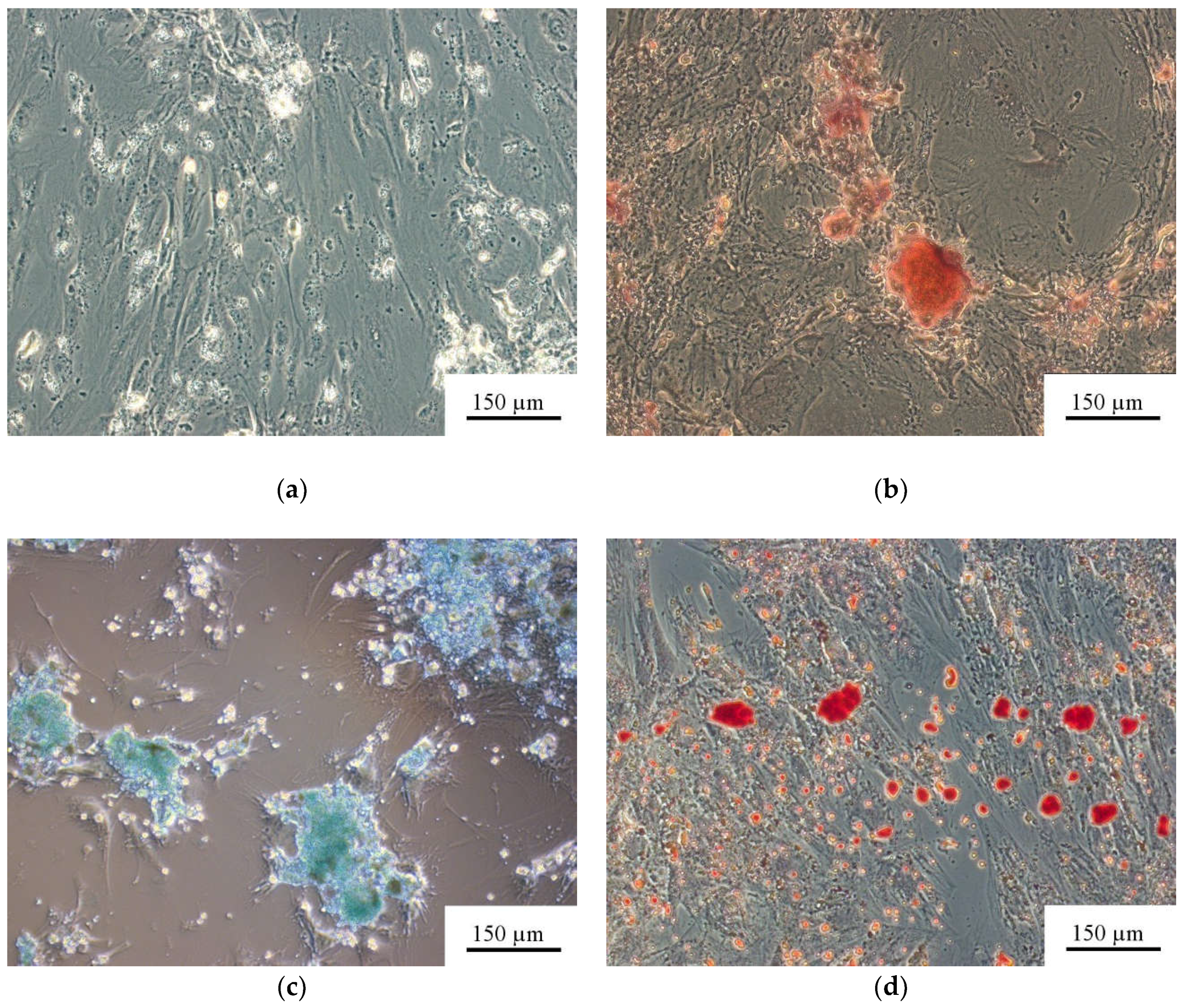 Materials 11 00978 g001