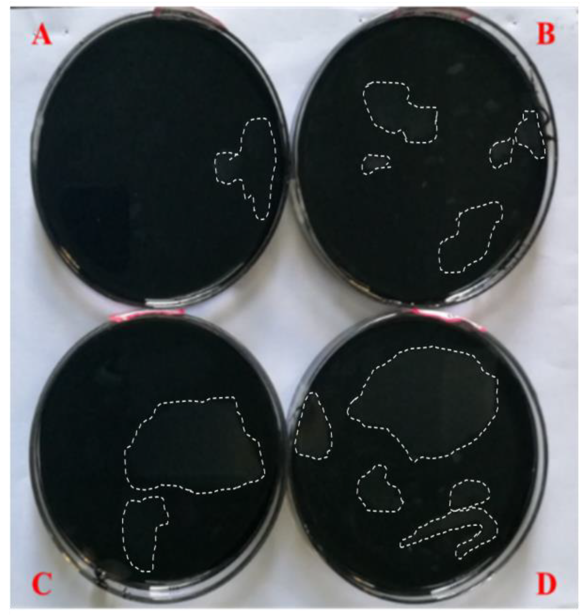 Materials 11 00983 g003