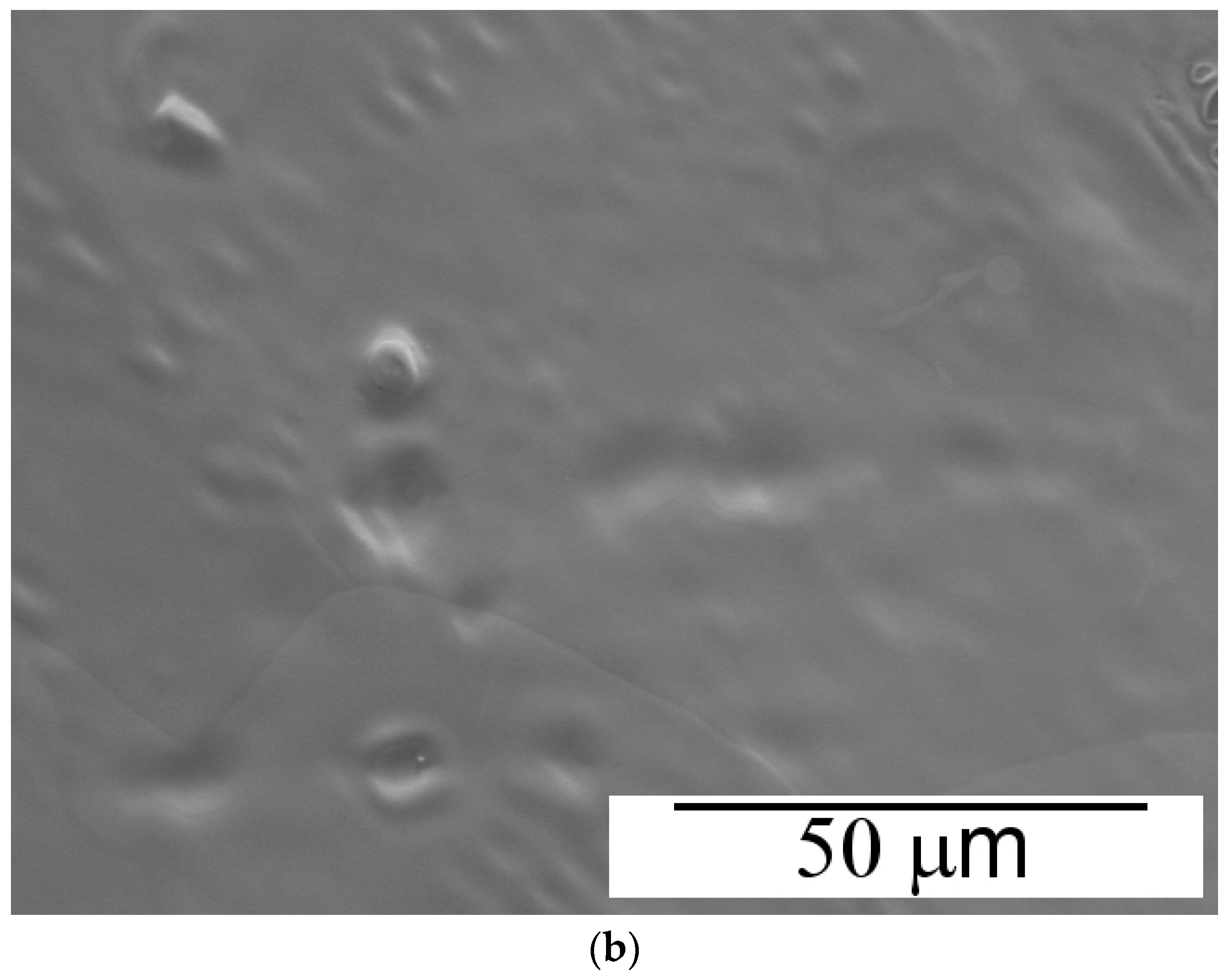 Materials 11 01012 g007b Materials 11 01012 g007b