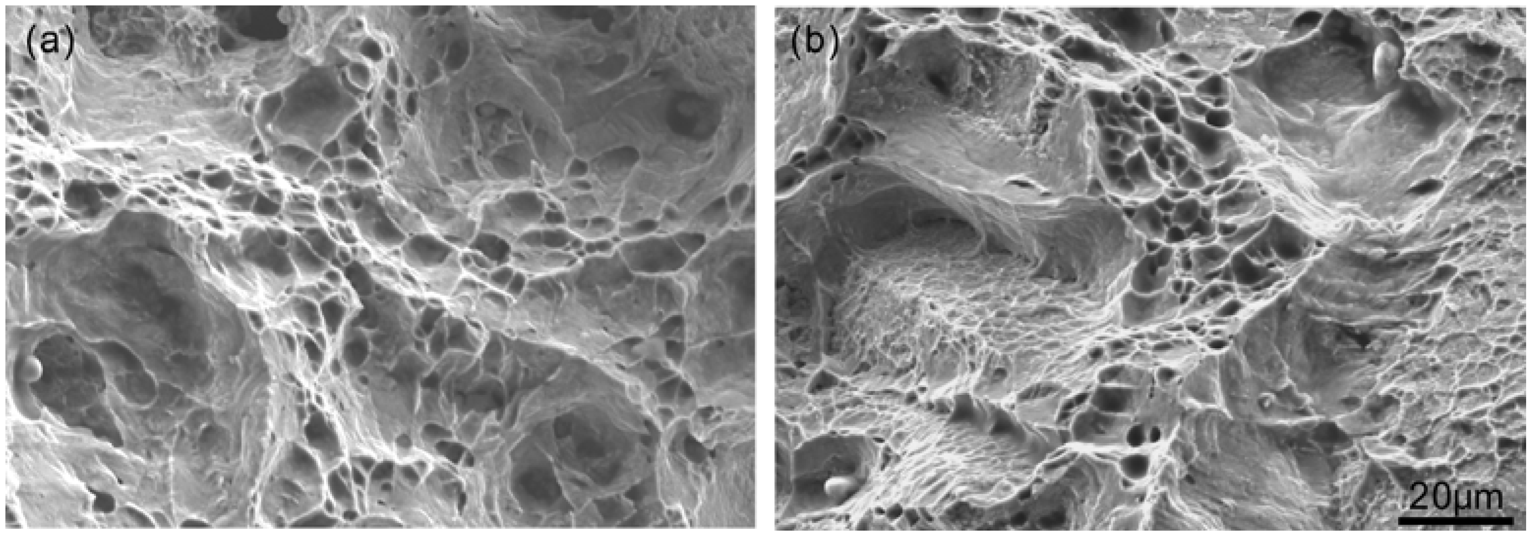 Materials 11 01026 g006