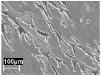 Materials 11 01051 i001 Materials 11 01051 i001