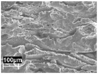 Materials 11 01051 i004 Materials 11 01051 i004