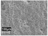 Materials 11 01051 i010 Materials 11 01051 i010