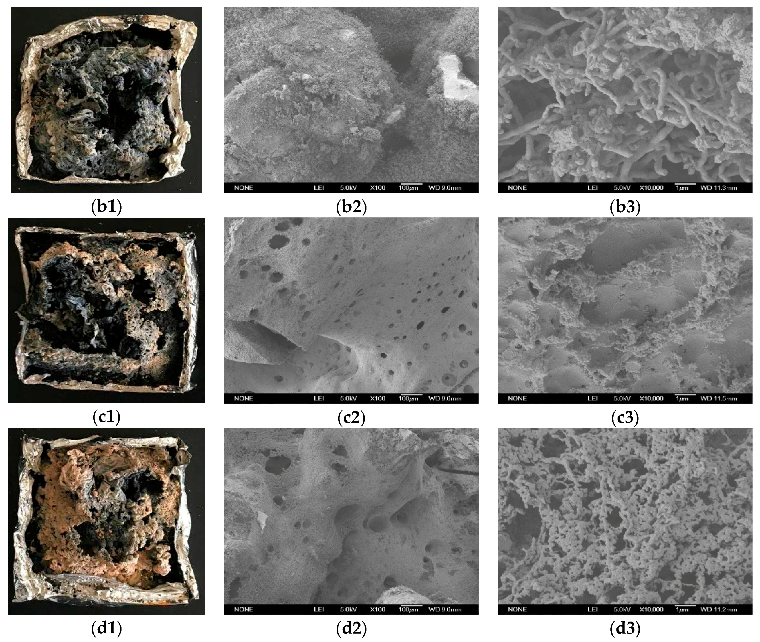 Materials 11 01060 g005b Materials 11 01060 g005b