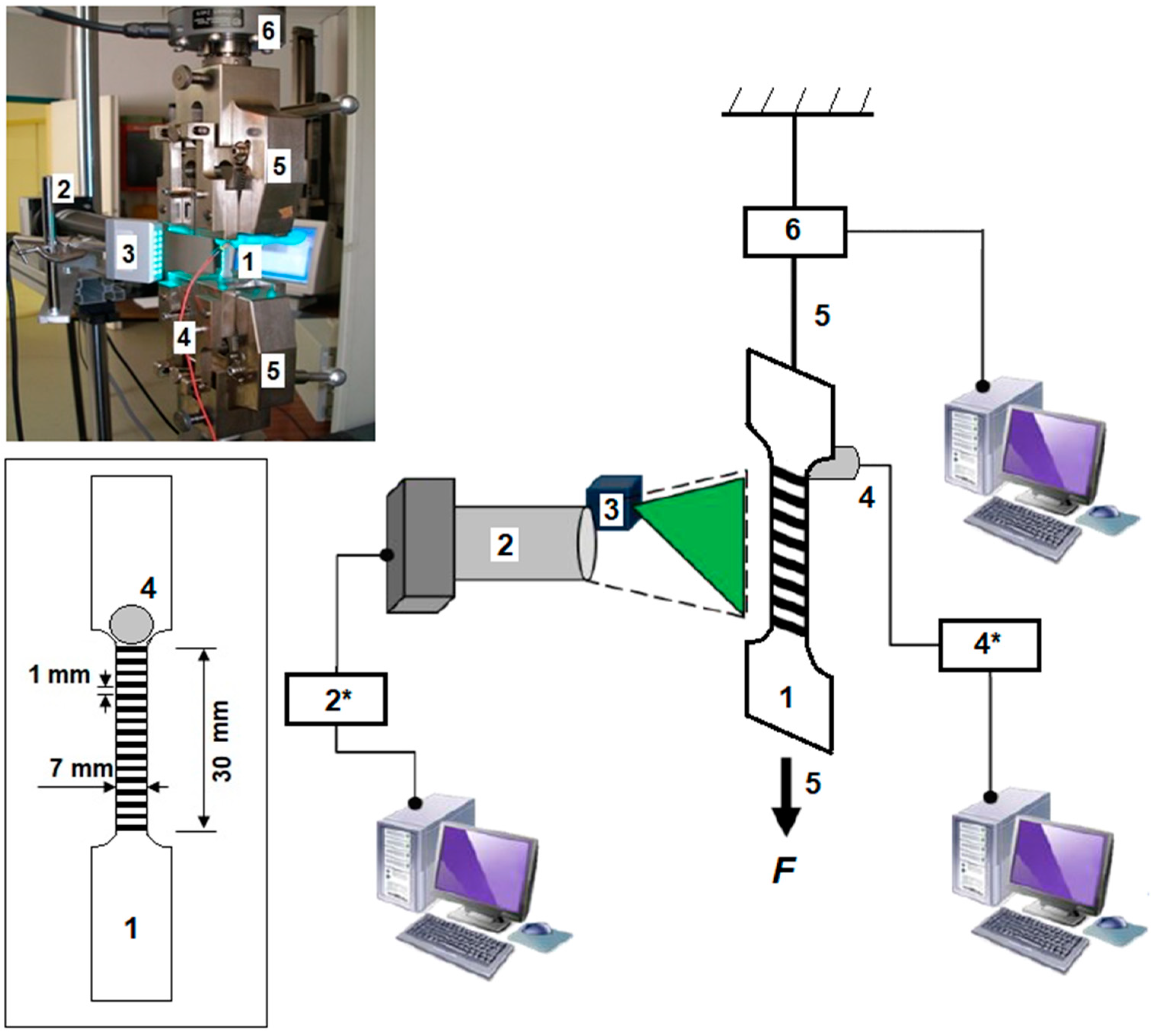 Materials 11 01061 g001
