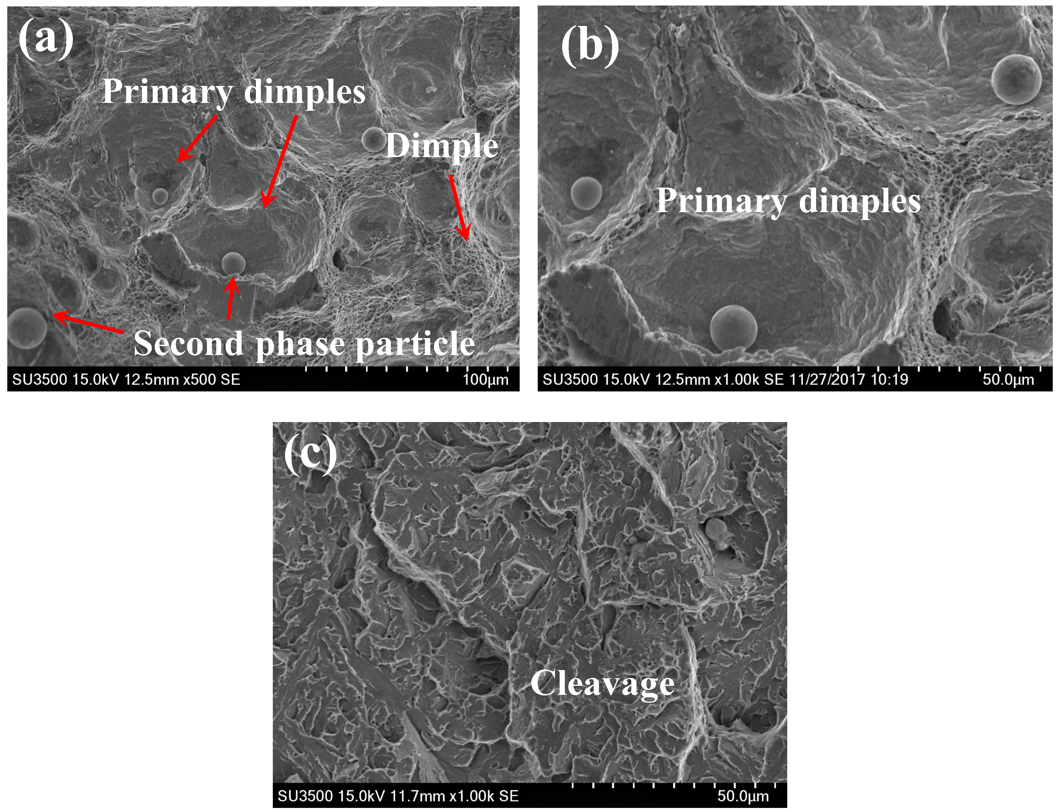 Materials 11 01068 g007