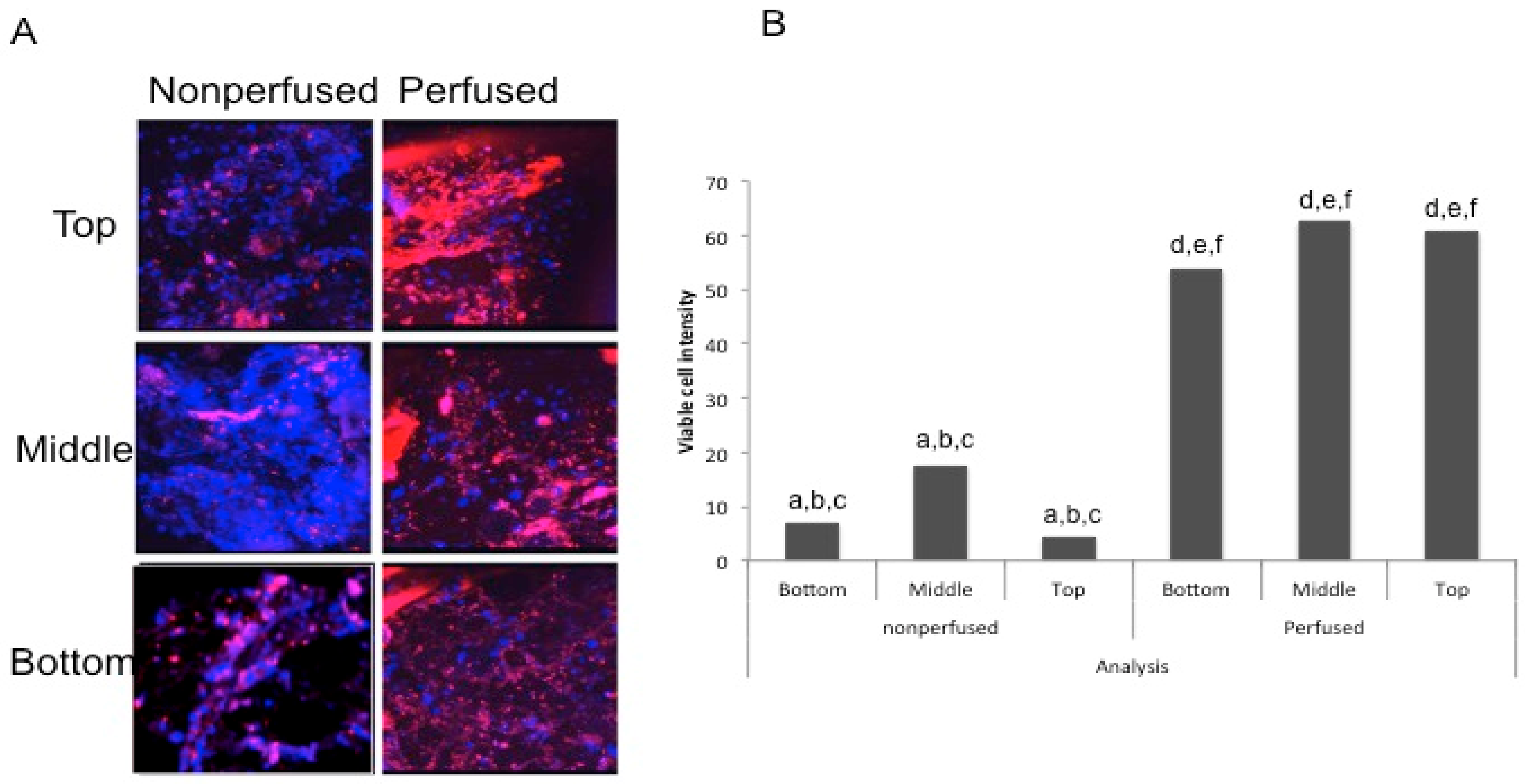 Materials 11 01070 g005