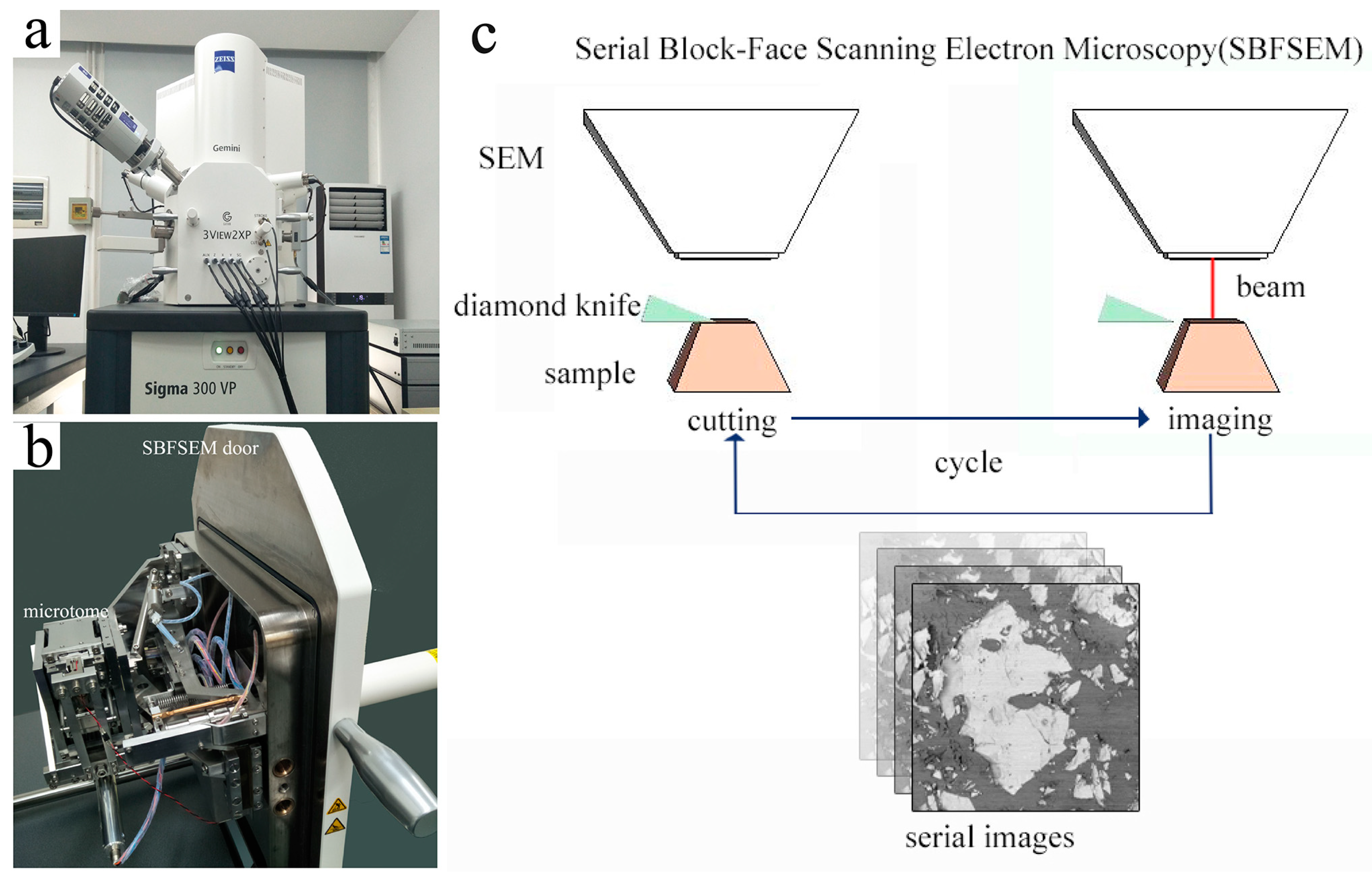 Materials 11 01110 g001