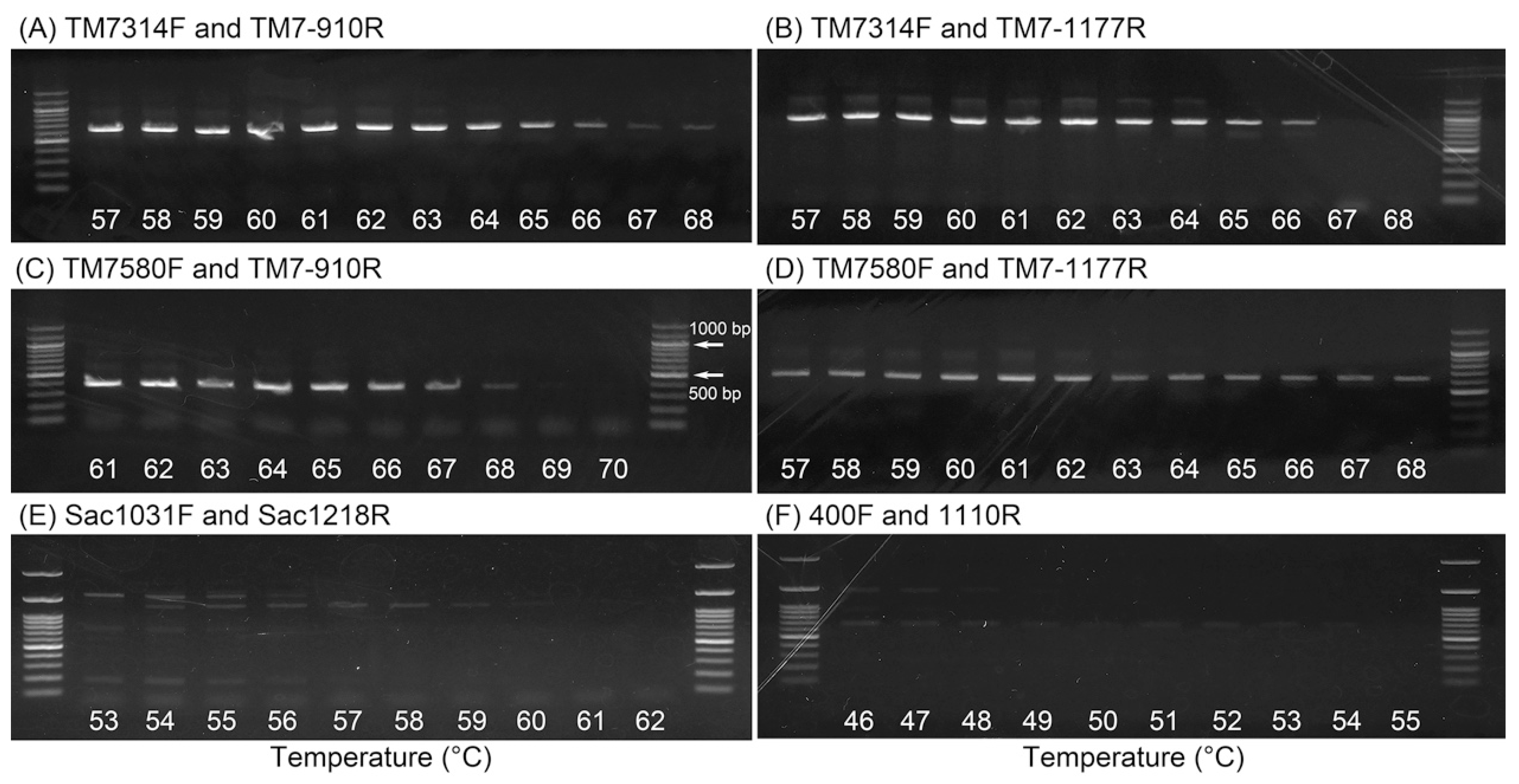 Materials 11 01129 g001 Materials 11 01129 g001