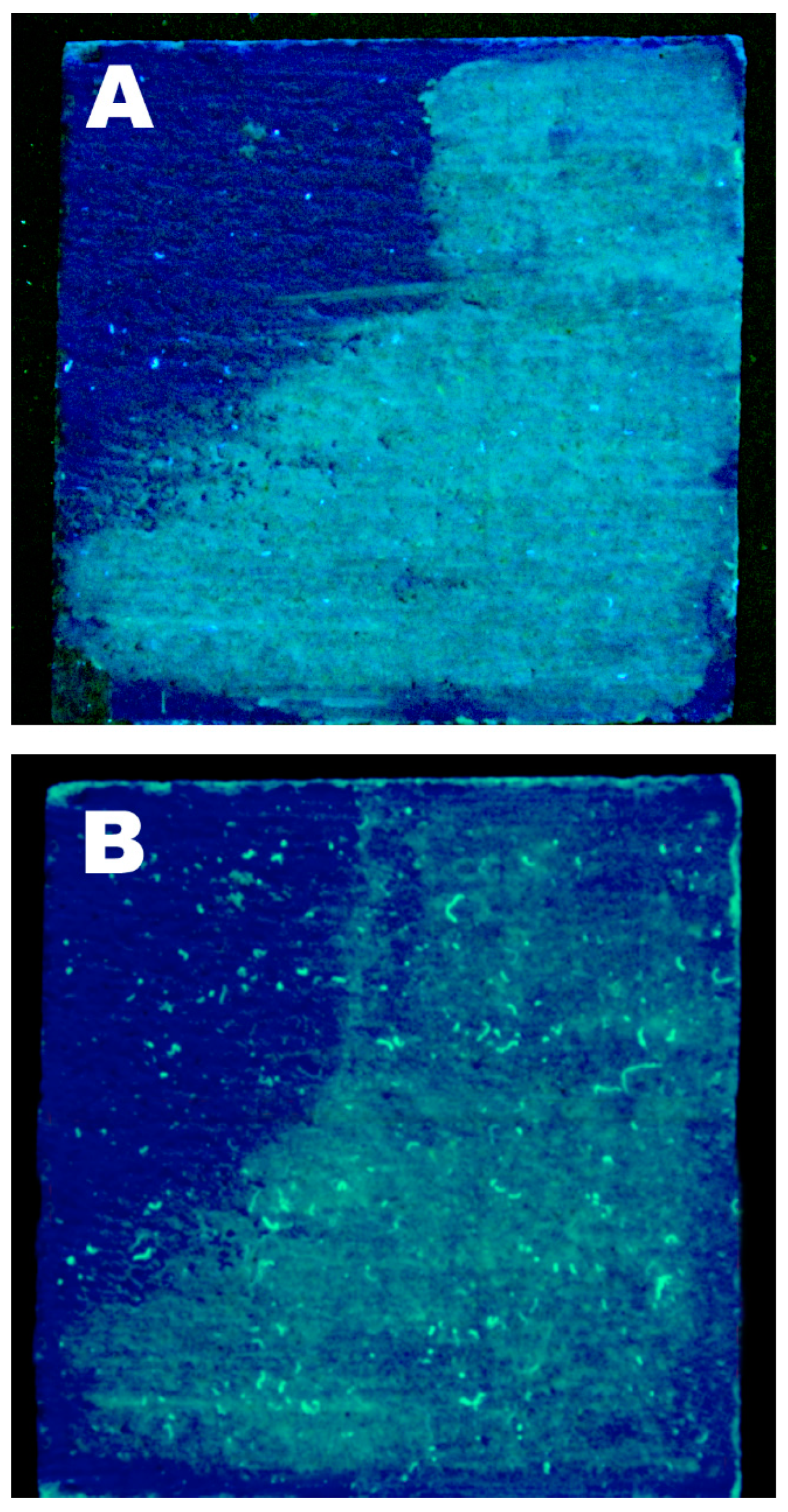 Materials 11 01144 g006