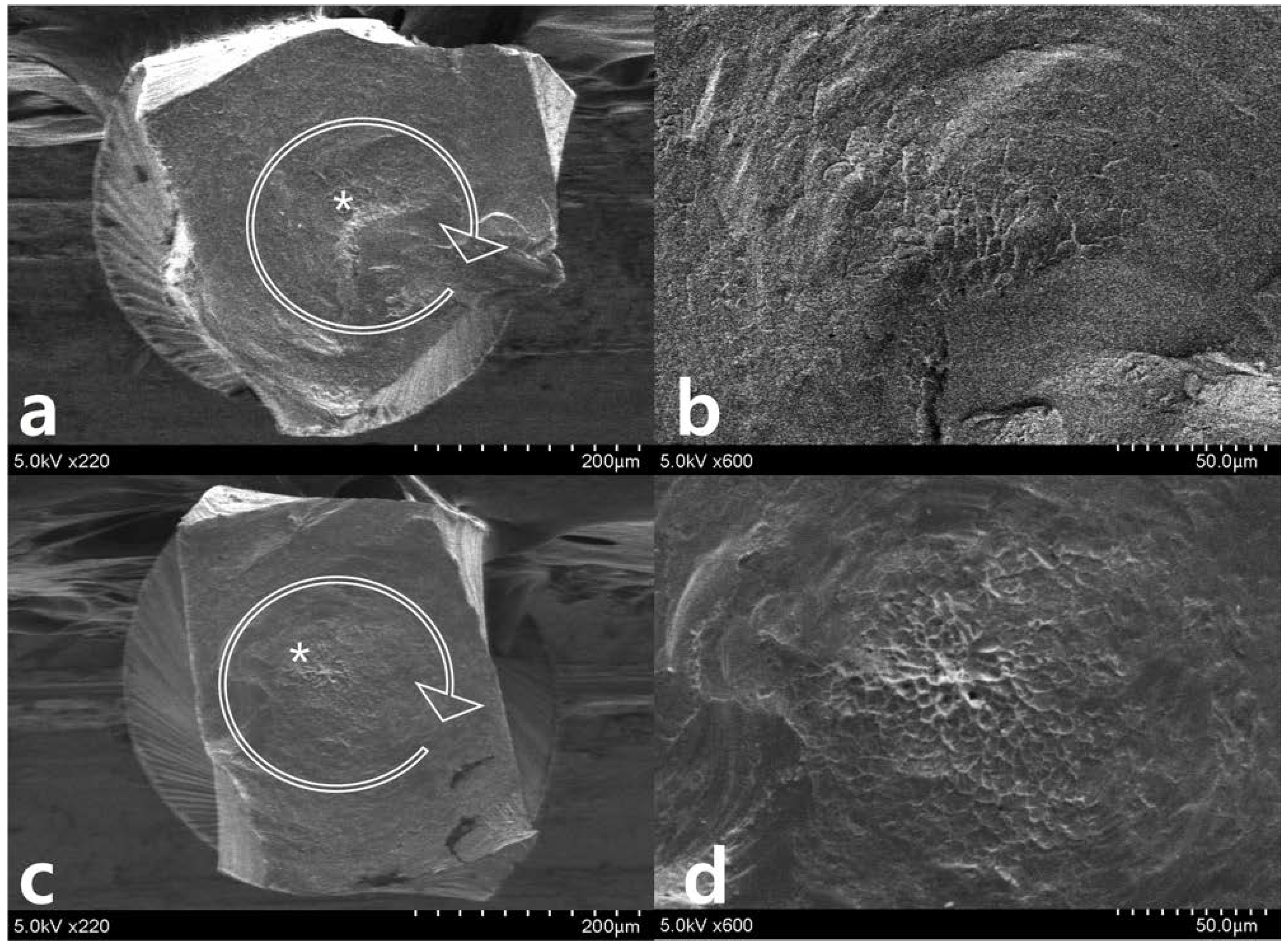 Materials 11 01150 g006