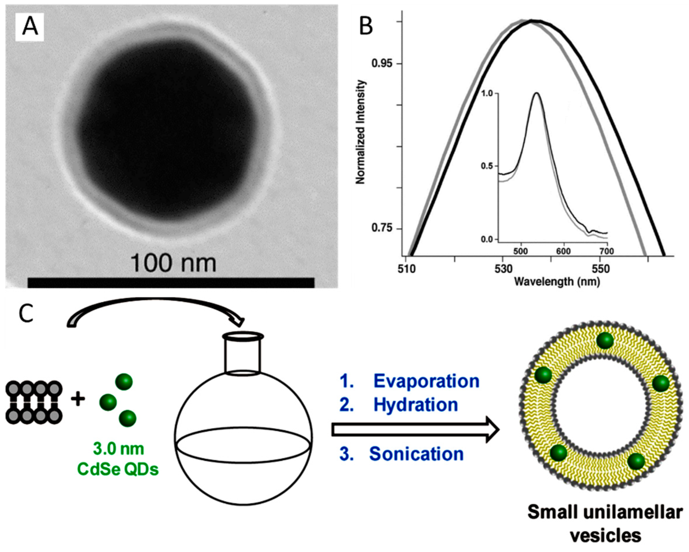 Materials 11 01154 g007