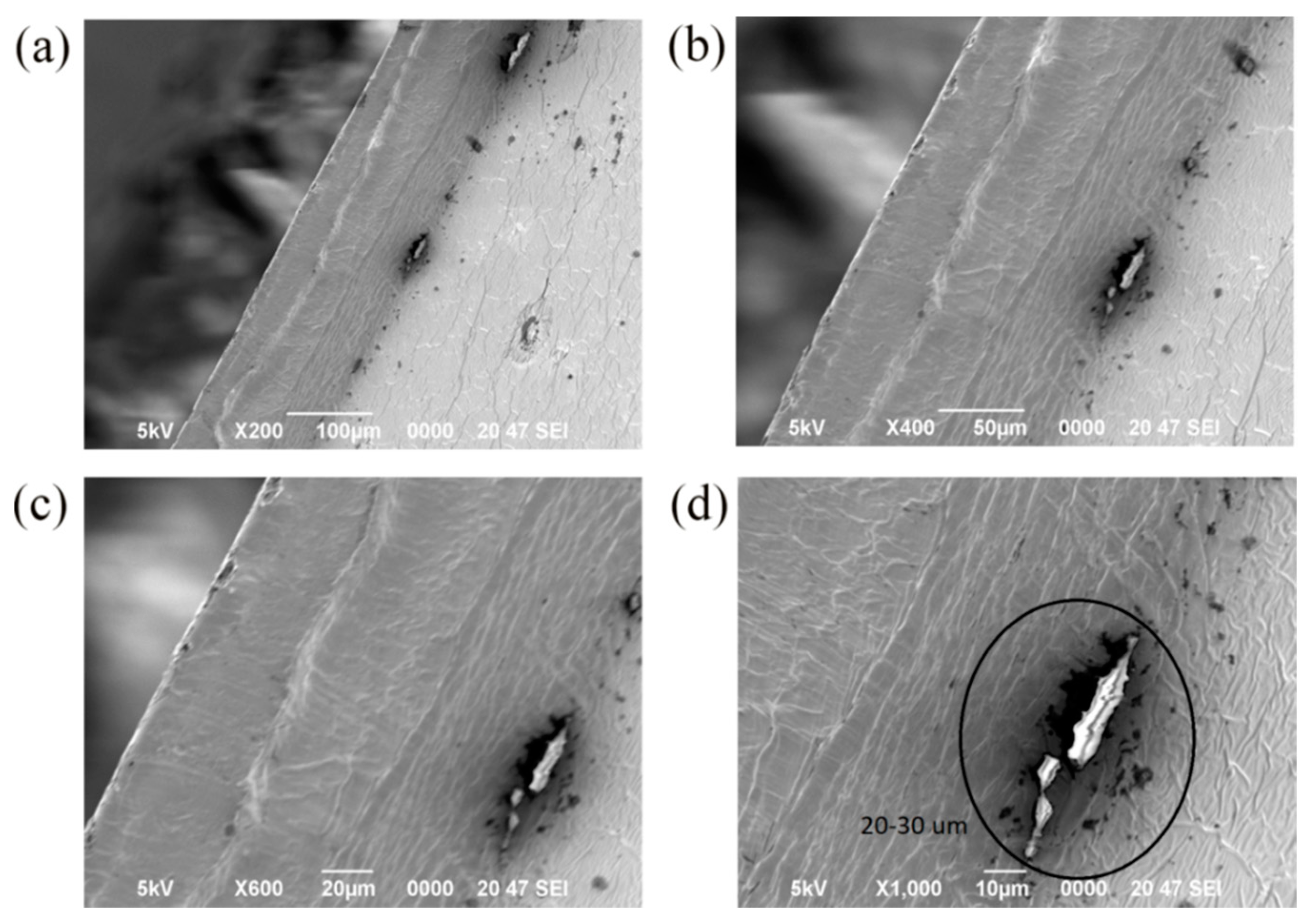 Materials 11 01166 g009