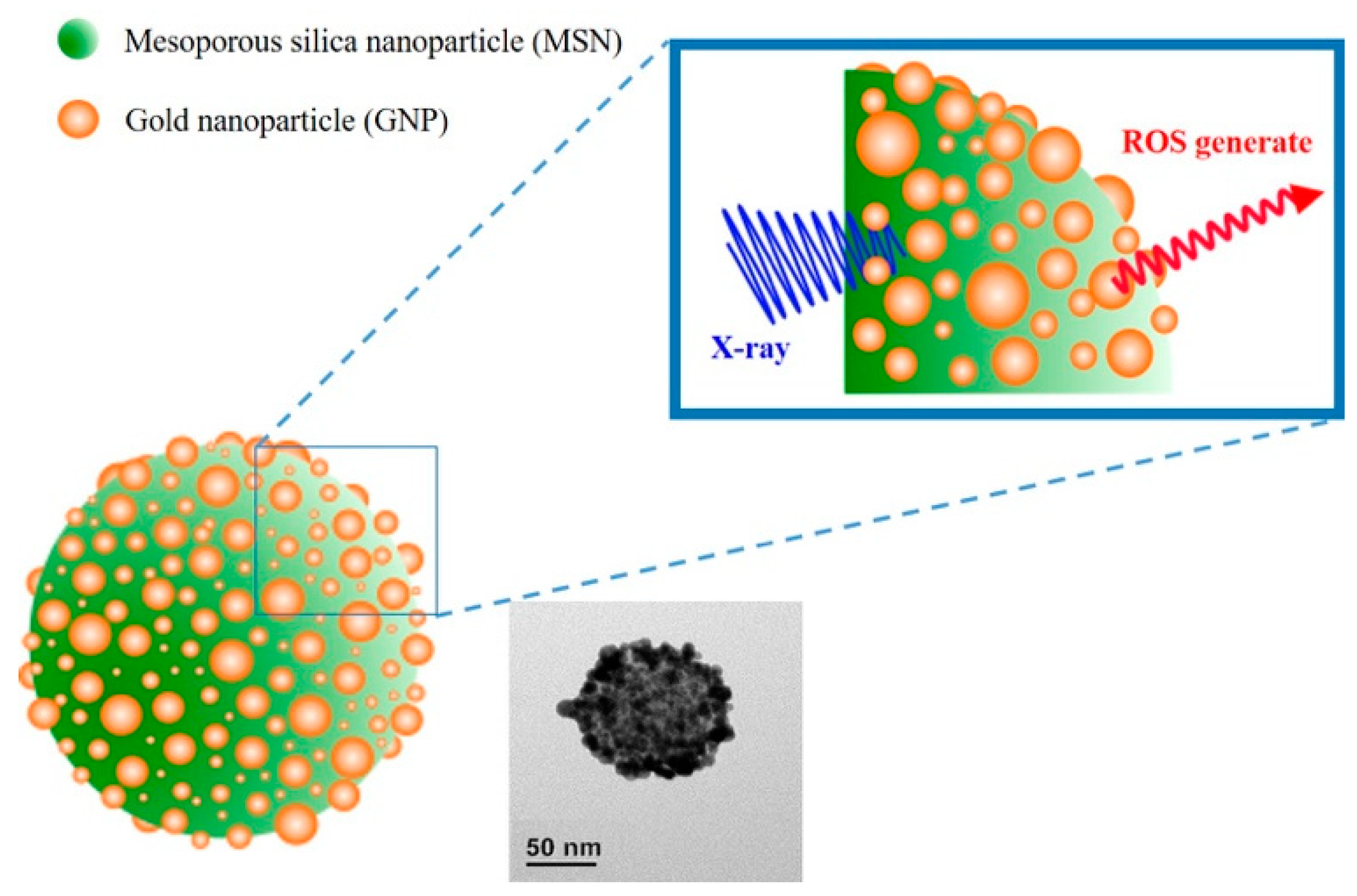 Materials 11 01170 g001