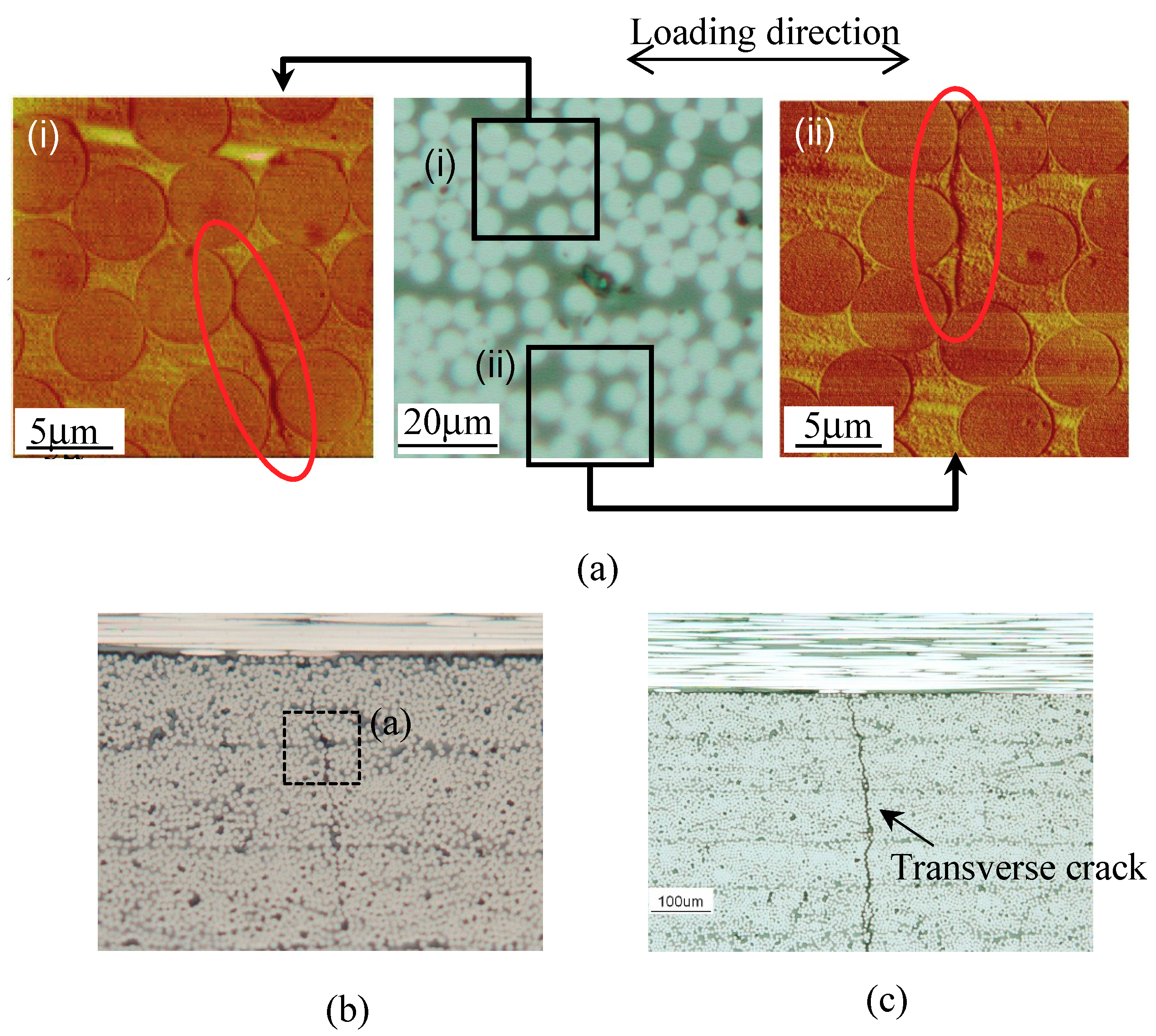 Materials 11 01182 g005 Materials 11 01182 g005
