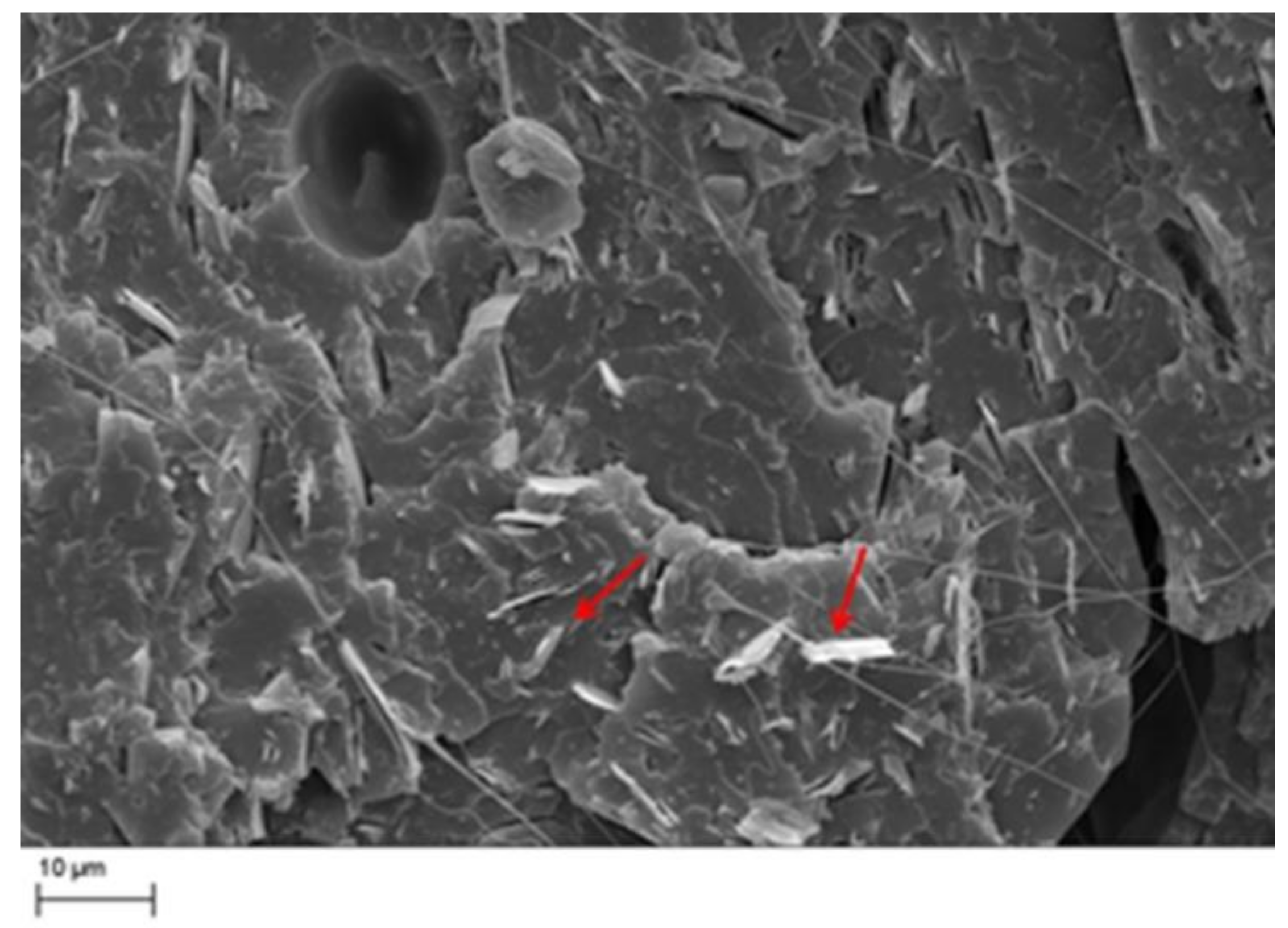 Materials 11 01191 g004