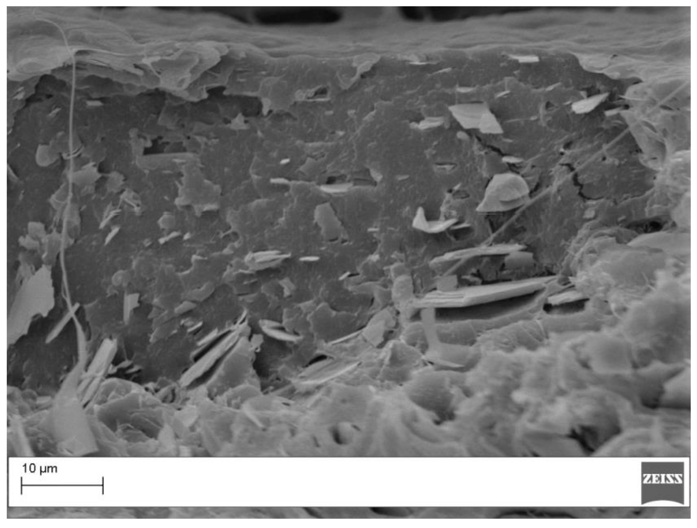 Materials 11 01191 g010