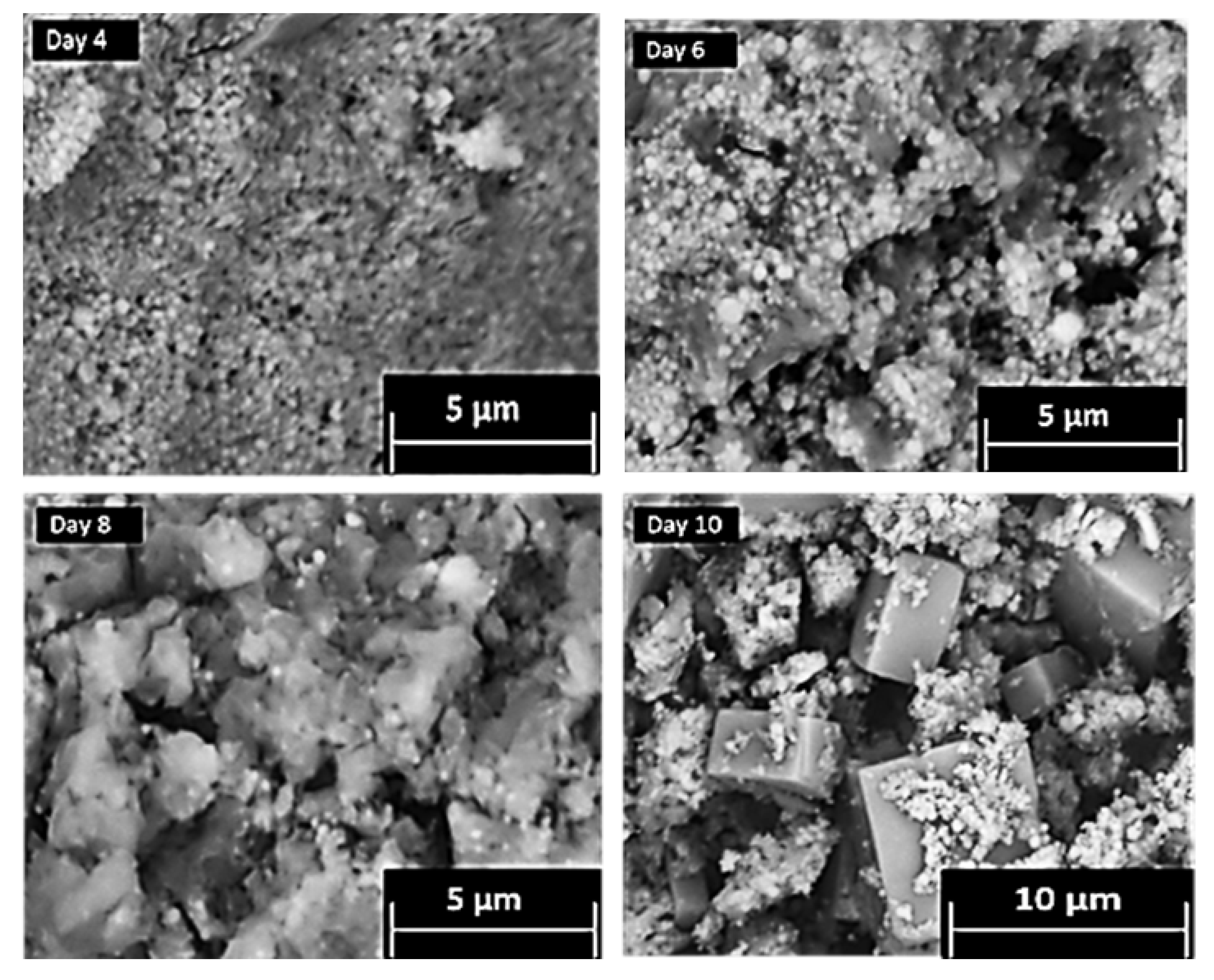 Materials 11 01235 g004