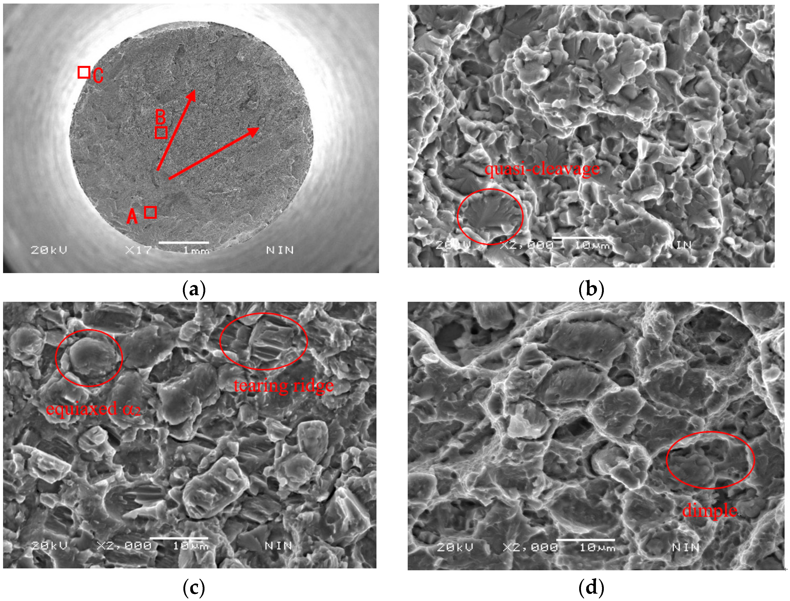 Materials 11 01244 g003