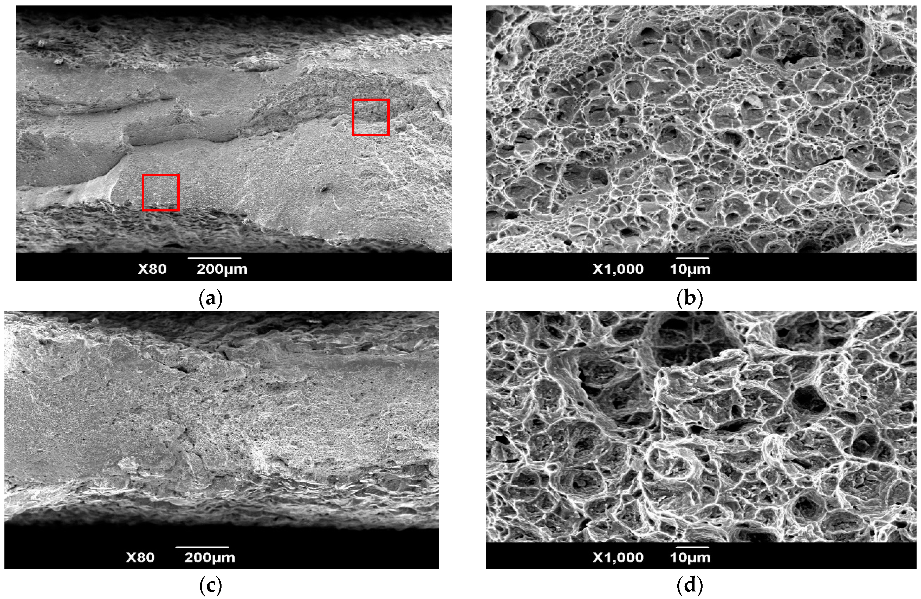 Materials 11 01244 g007