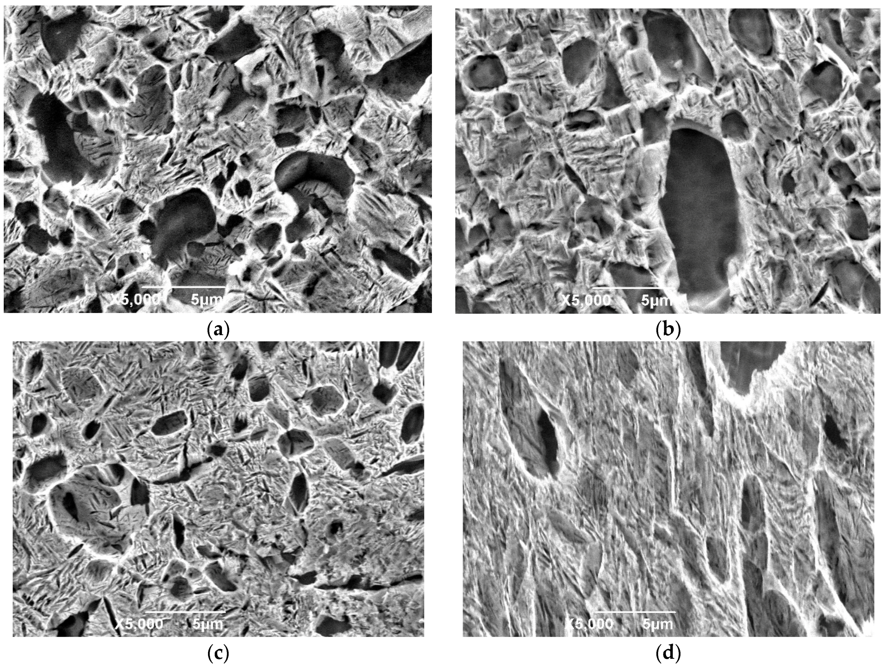 Materials 11 01244 g008