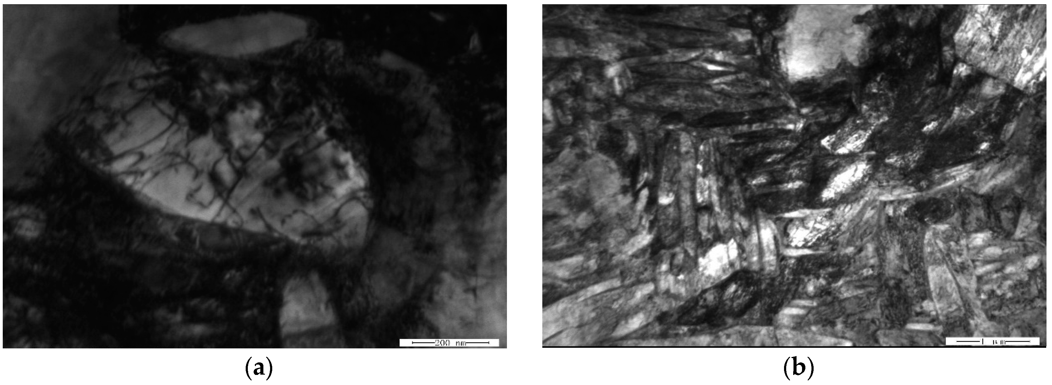 Materials 11 01244 g010