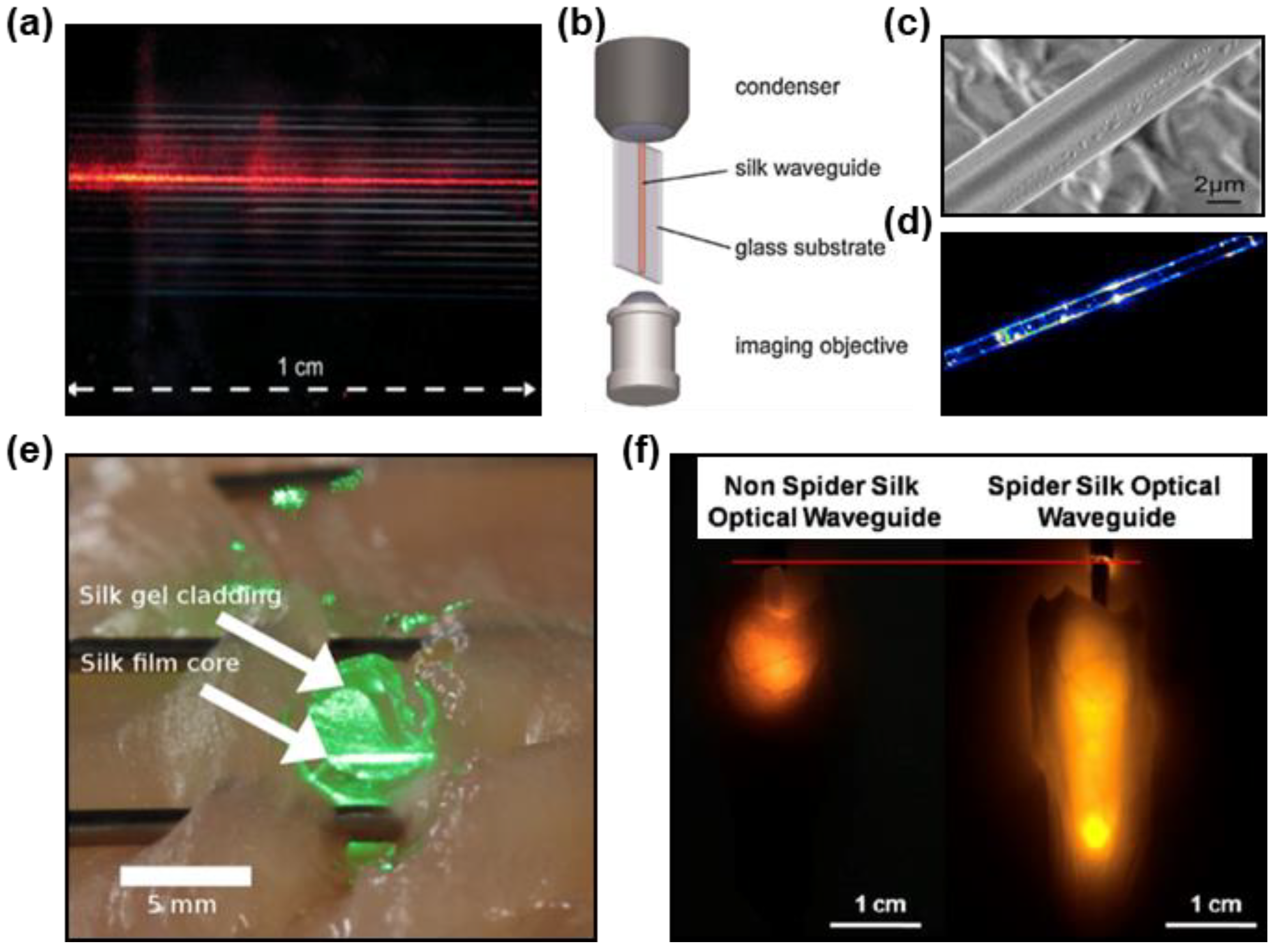 Materials 11 01283 g003