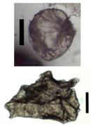 Materials 11 01287 i004 Materials 11 01287 i004