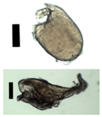 Materials 11 01287 i005 Materials 11 01287 i005