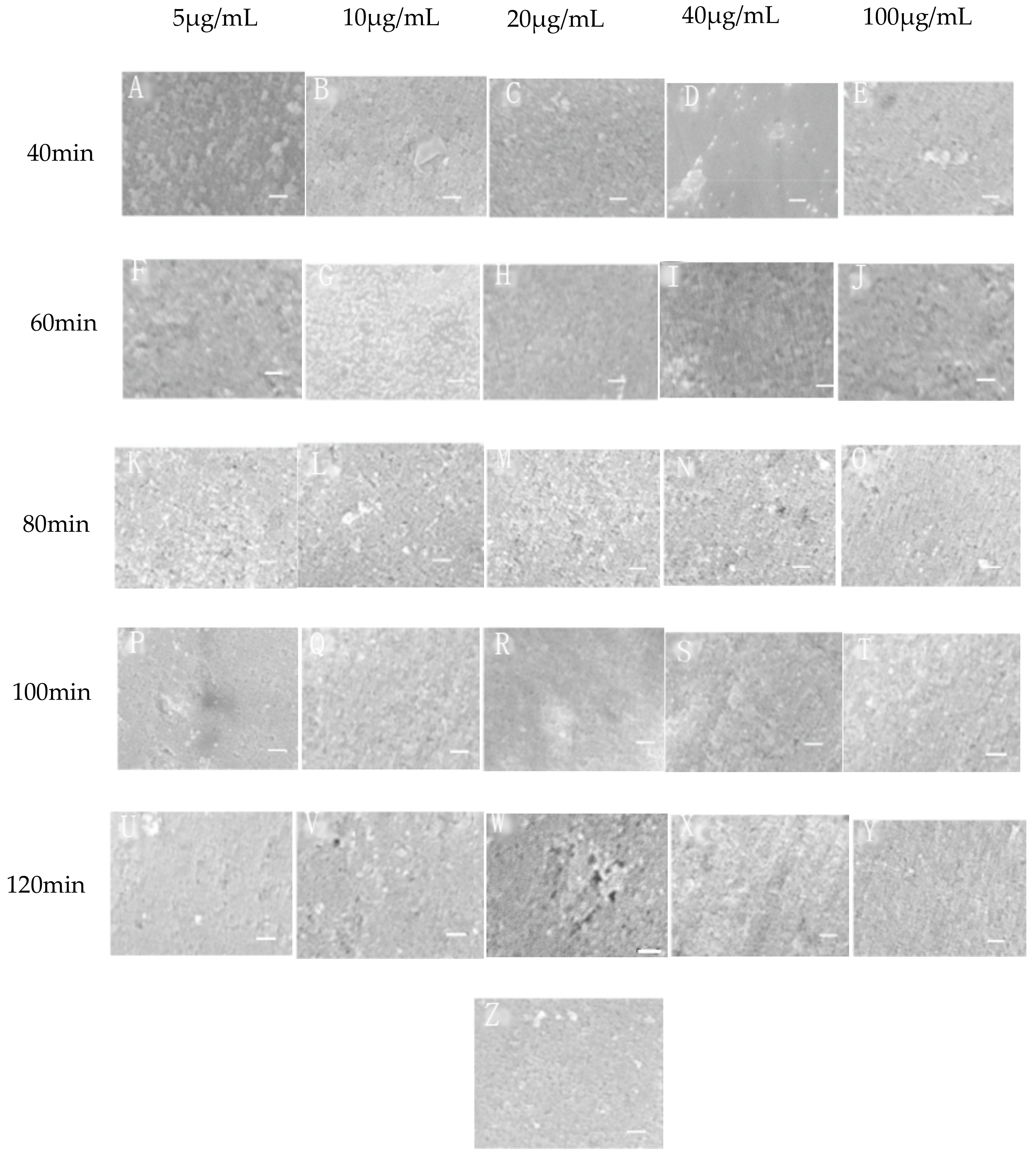 Materials 11 01289 g002