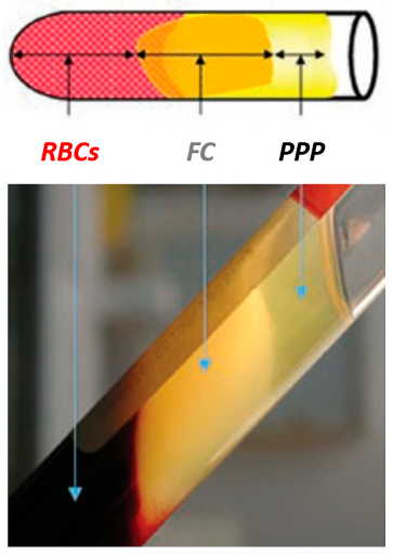 Materials 11 01293 i001 Materials 11 01293 i001