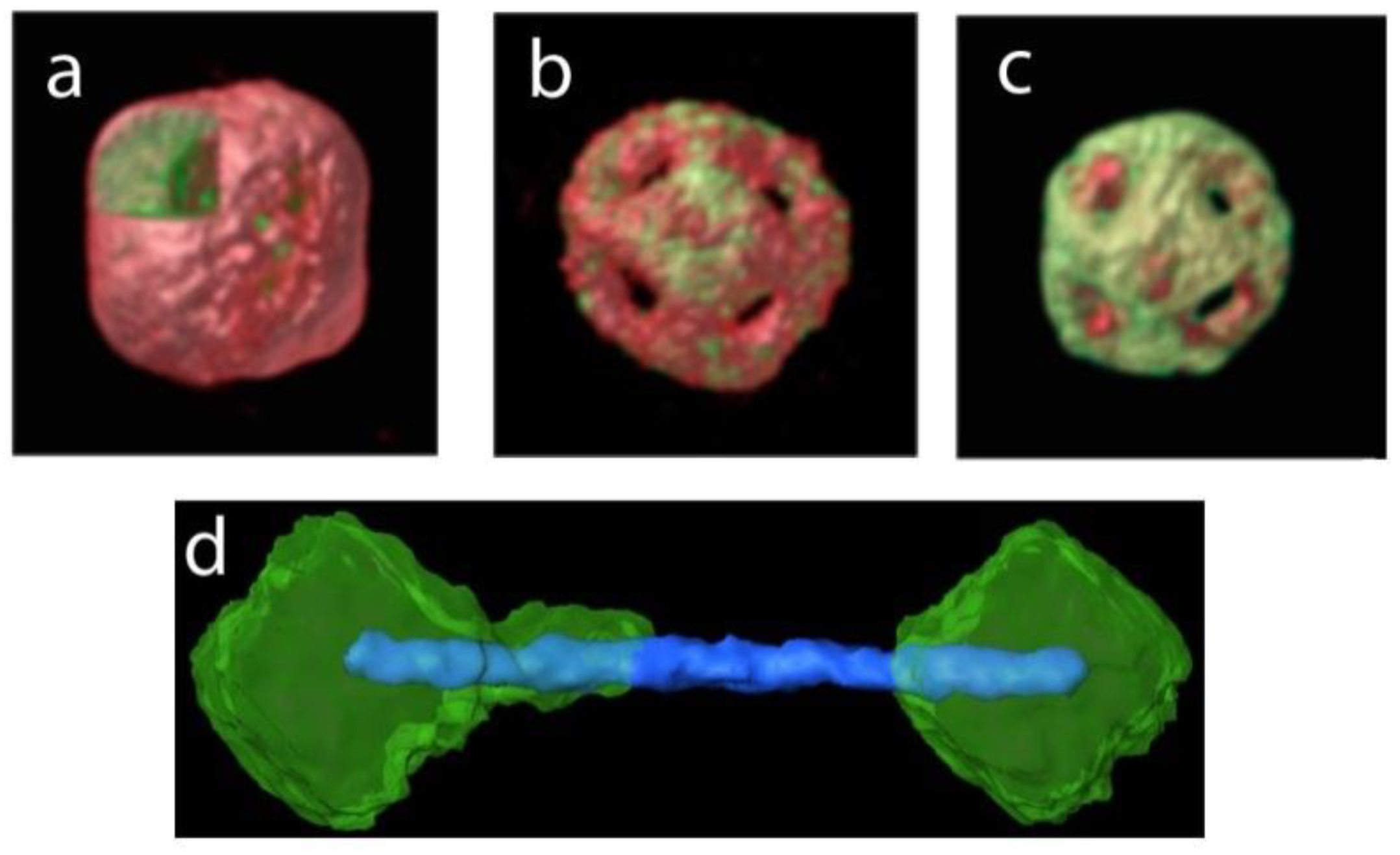 Materials 11 01304 g008