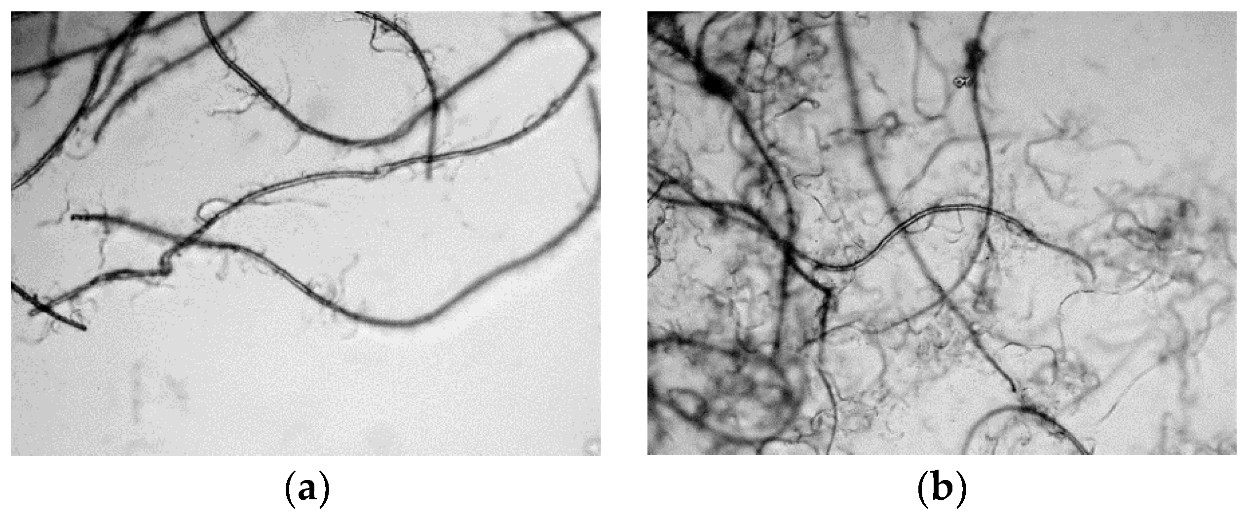 Materials 11 01313 g003