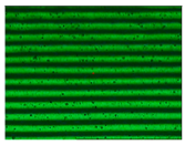 Materials 11 01322 i003
