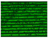 Materials 11 01322 i004