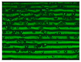 Materials 11 01322 i007