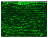 Materials 11 01322 i009