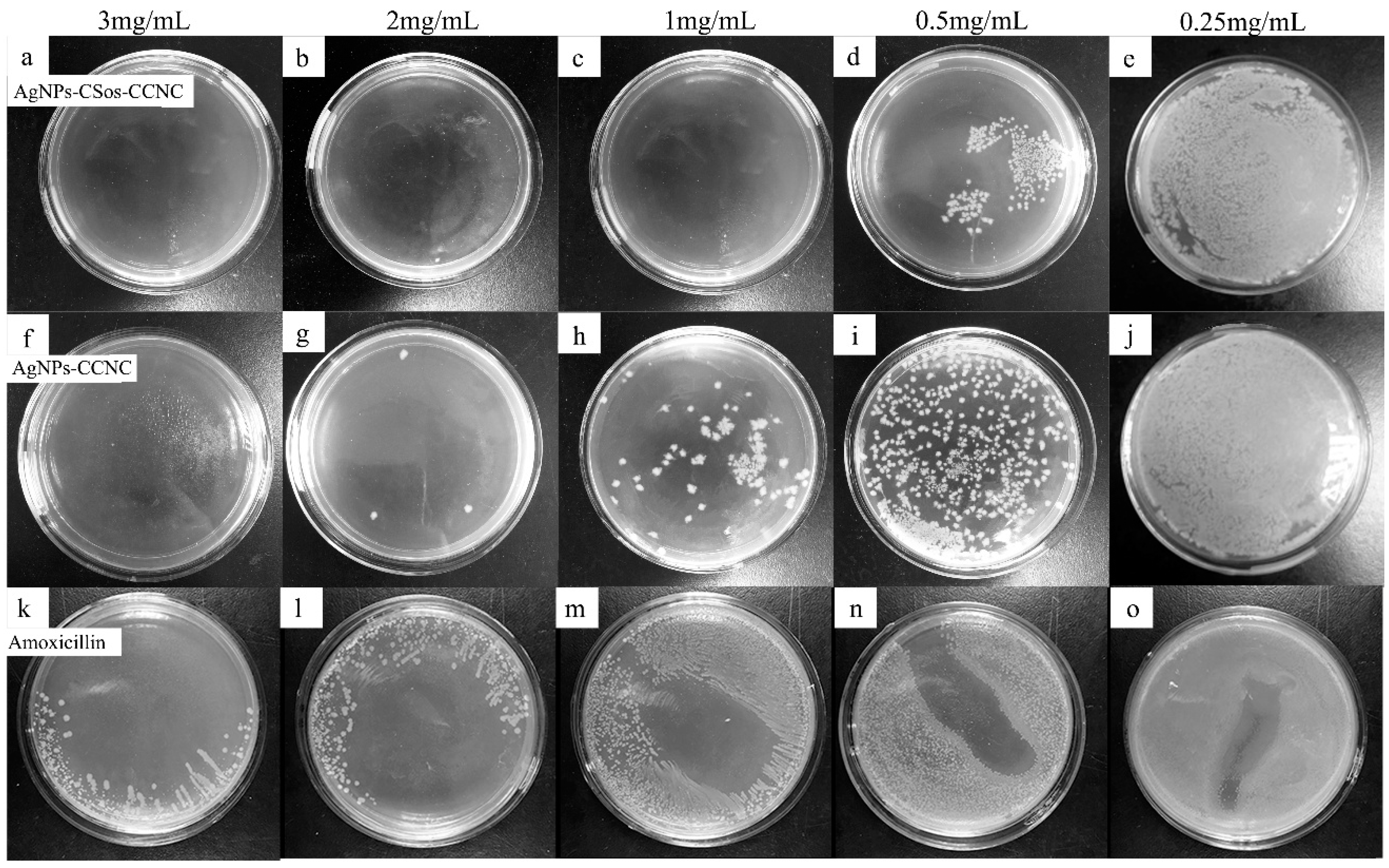 Materials 11 01339 g006