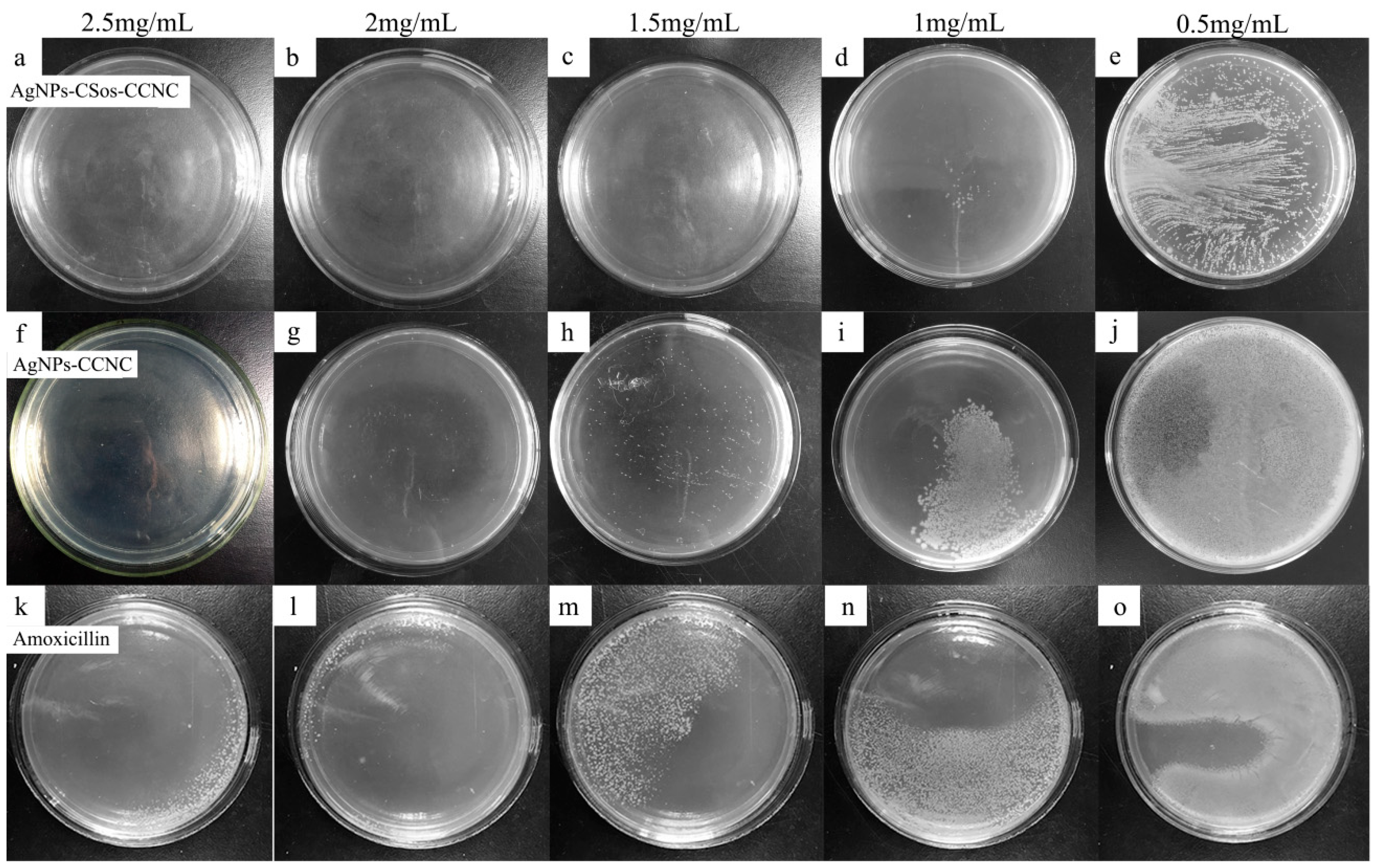 Materials 11 01339 g007