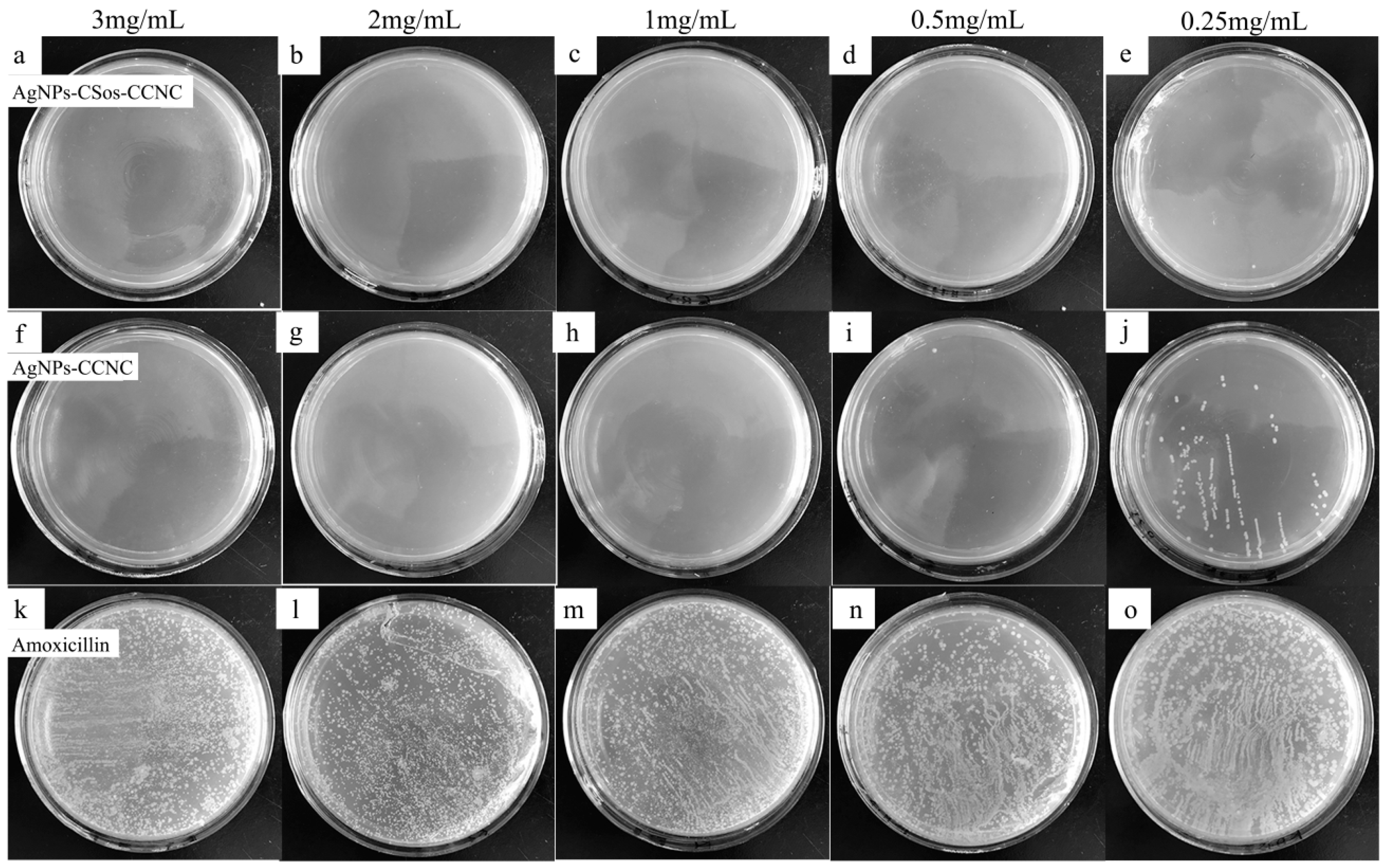 Materials 11 01339 g008