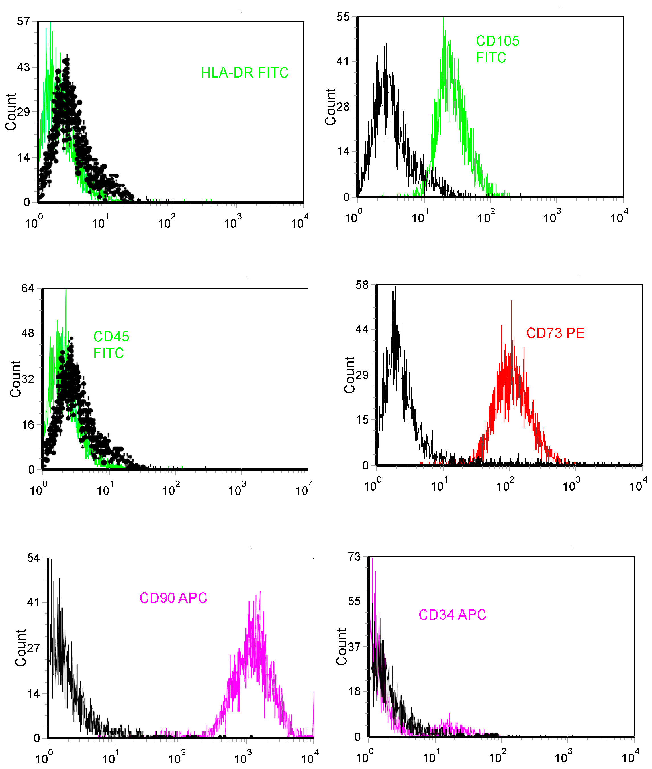 Materials 11 01349 g001