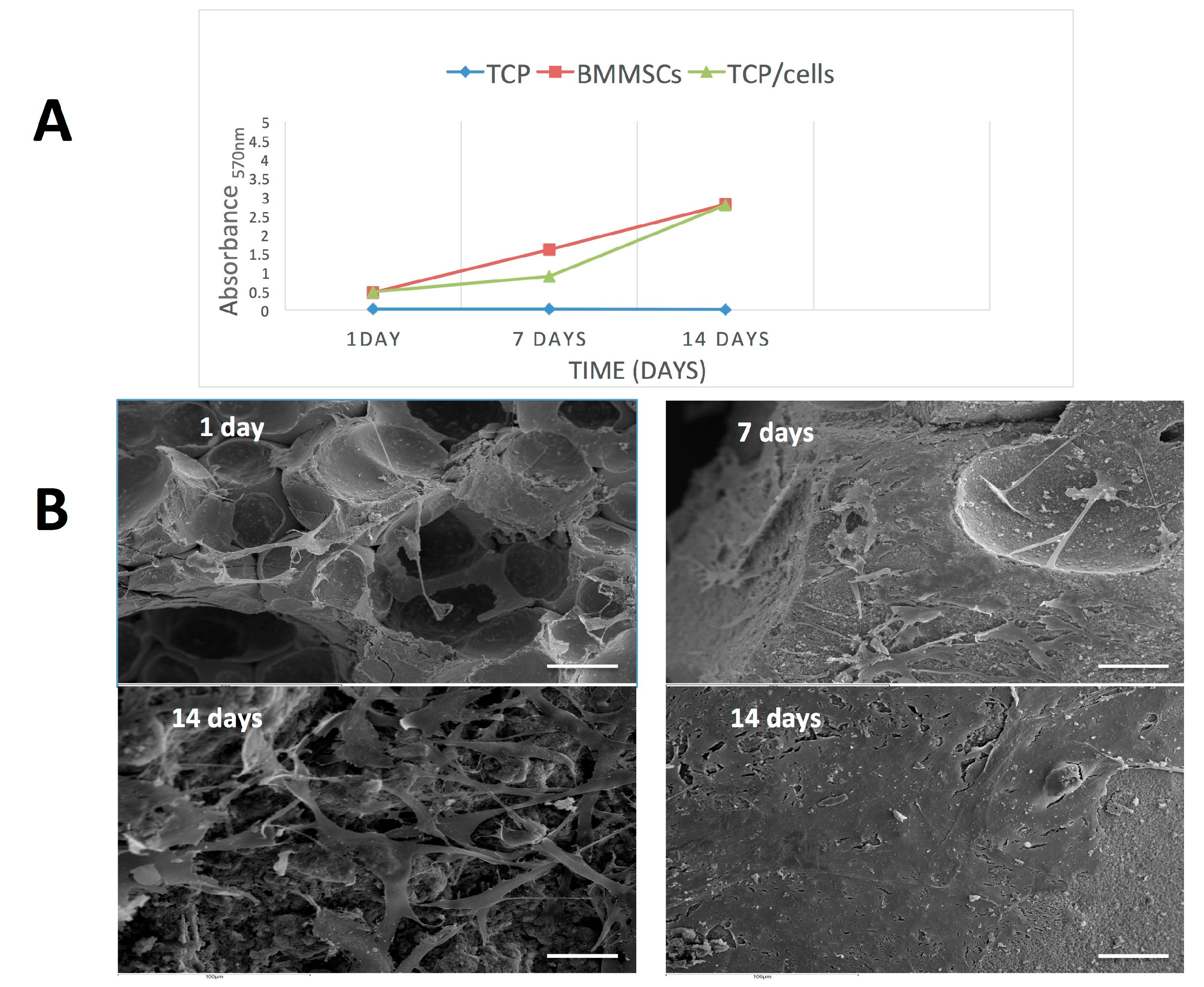 Materials 11 01349 g002