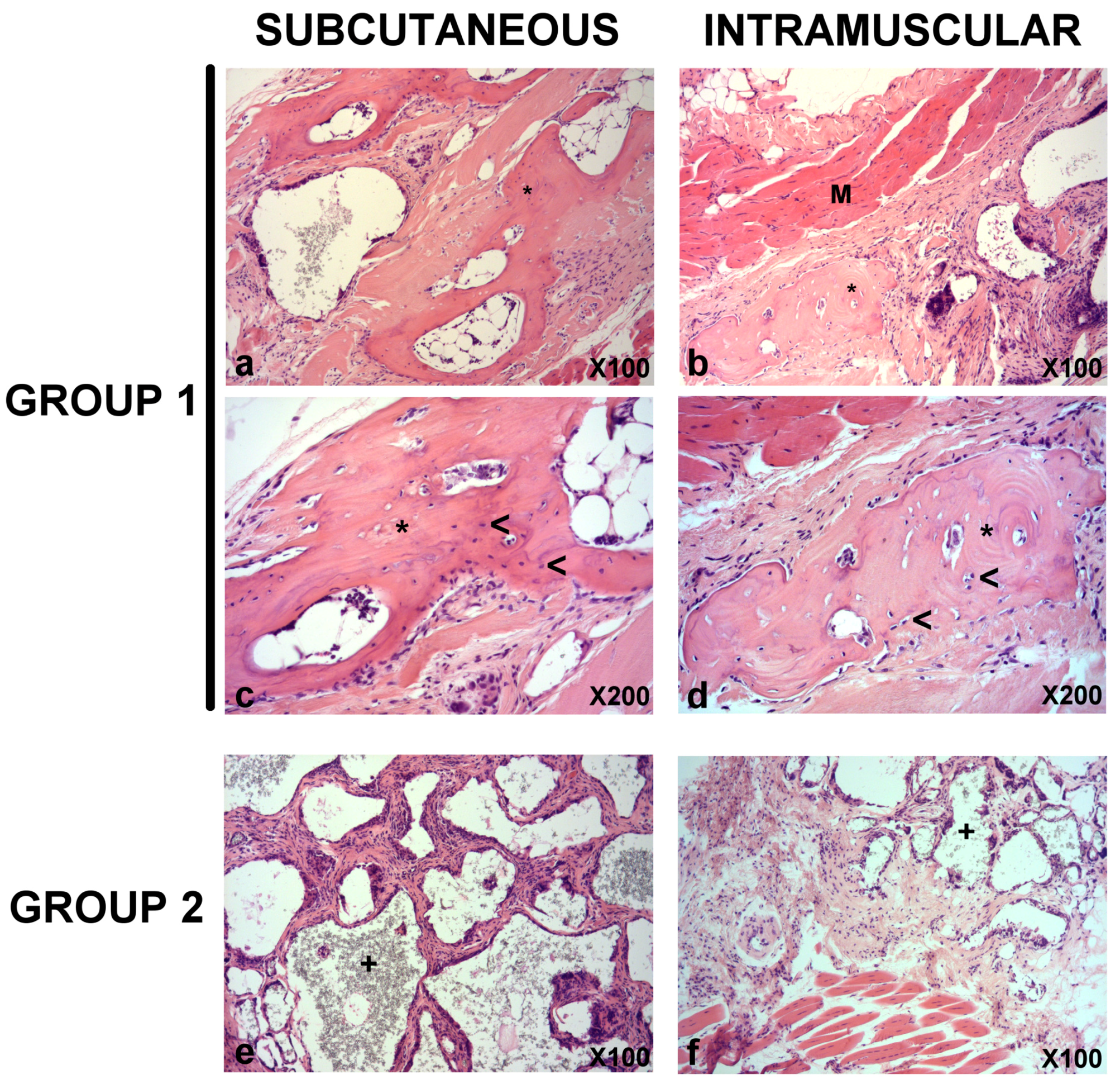 Materials 11 01349 g004