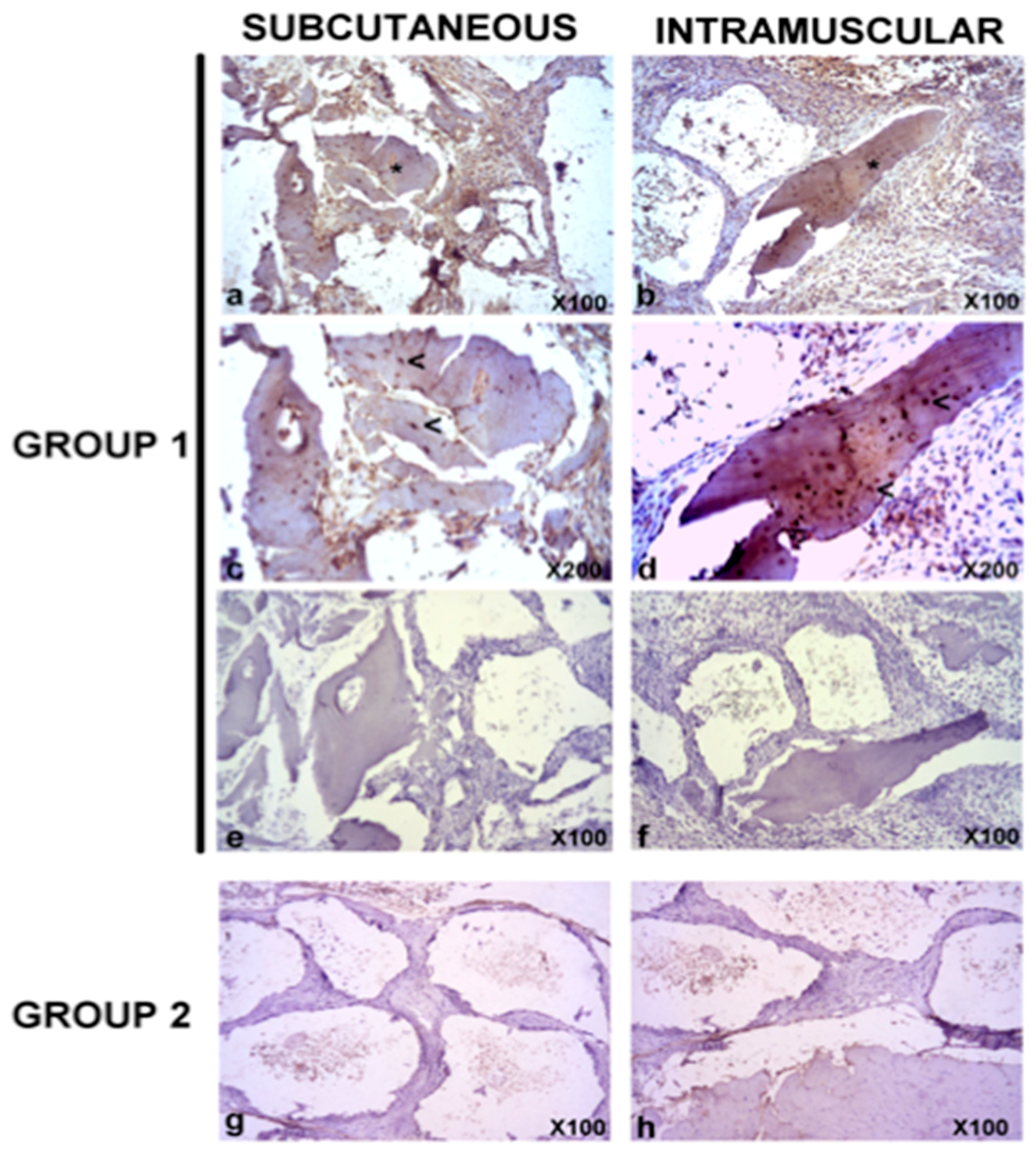 Materials 11 01349 g005