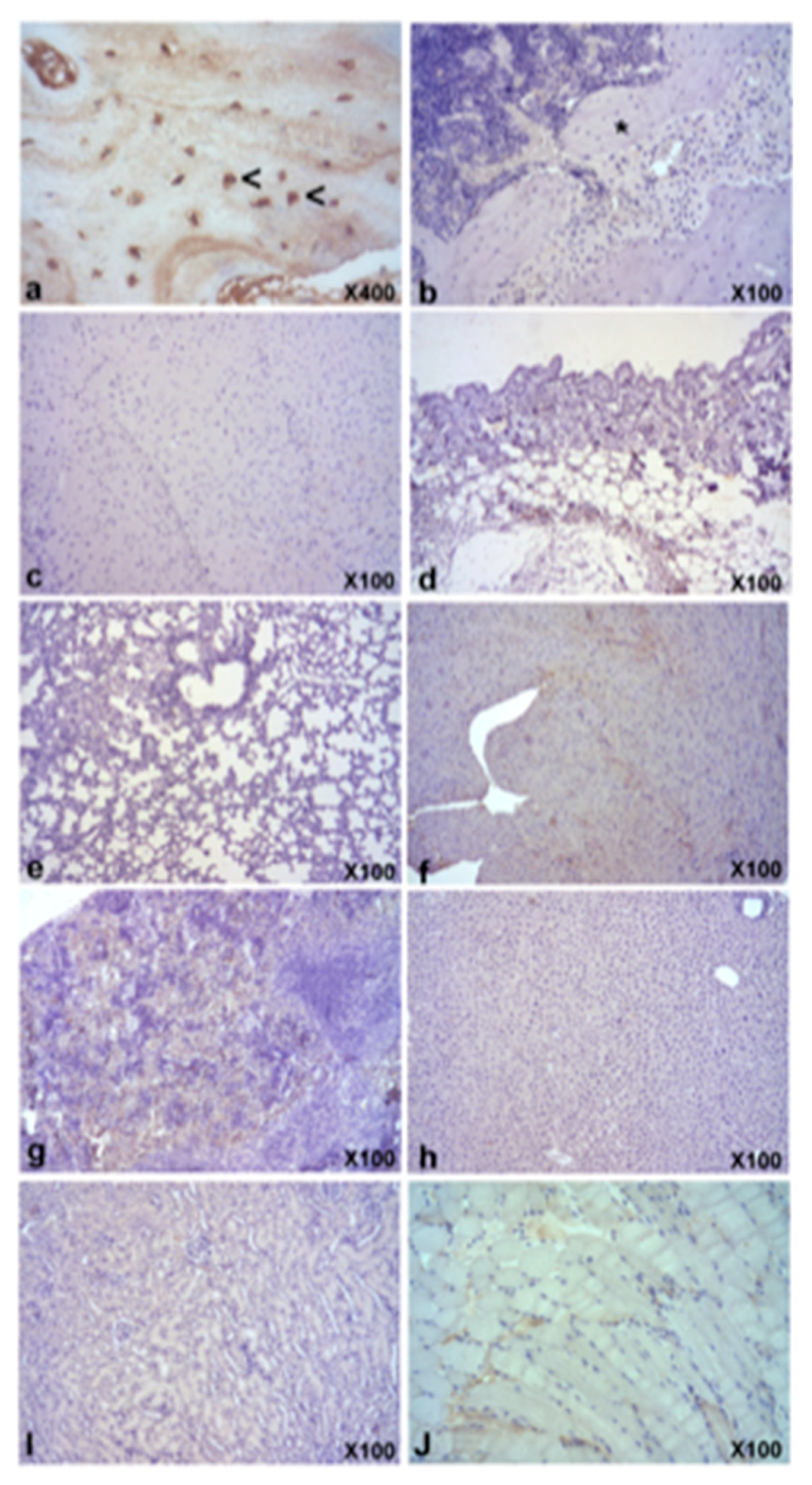 Materials 11 01349 g006