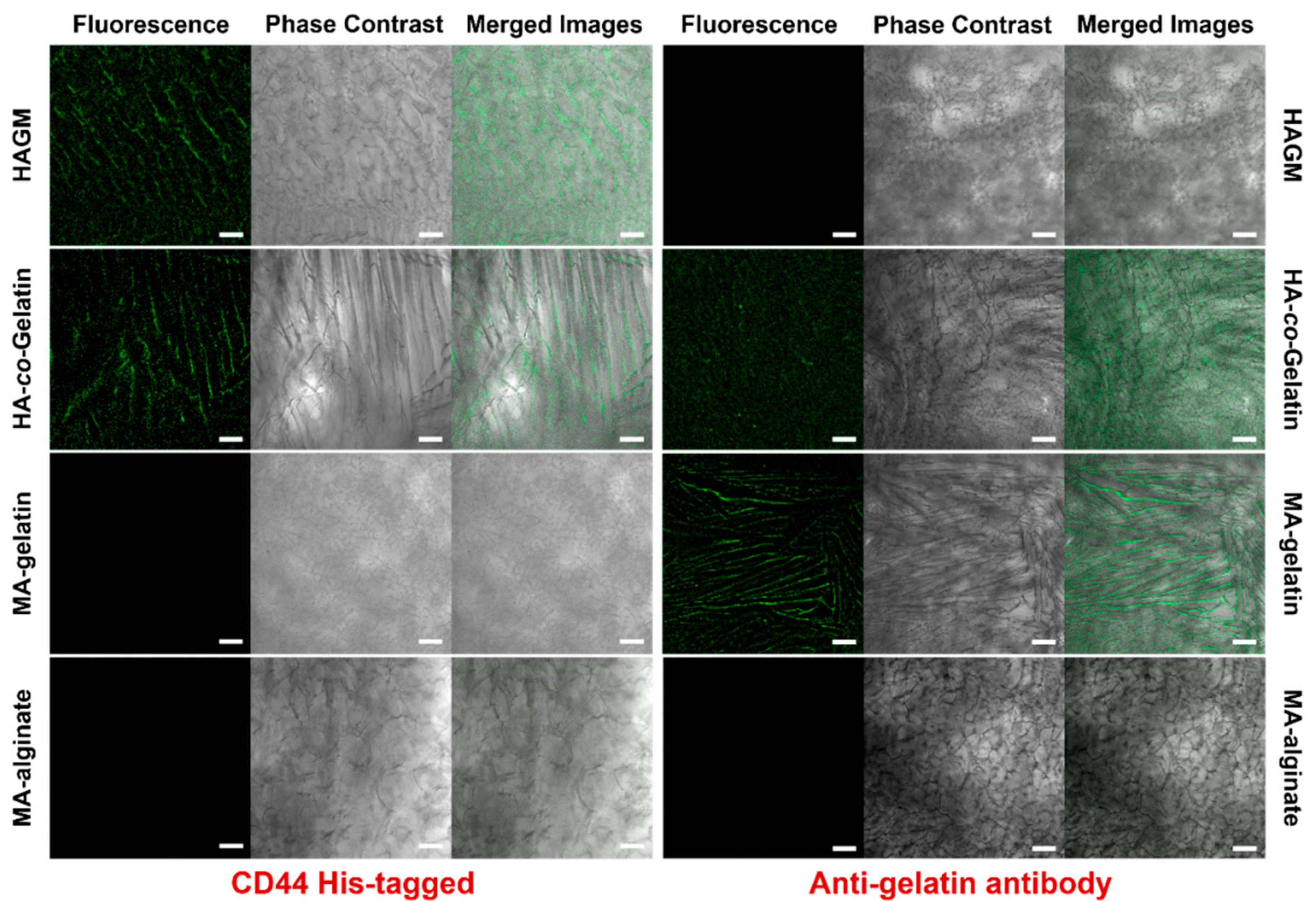 Materials 11 01374 g005