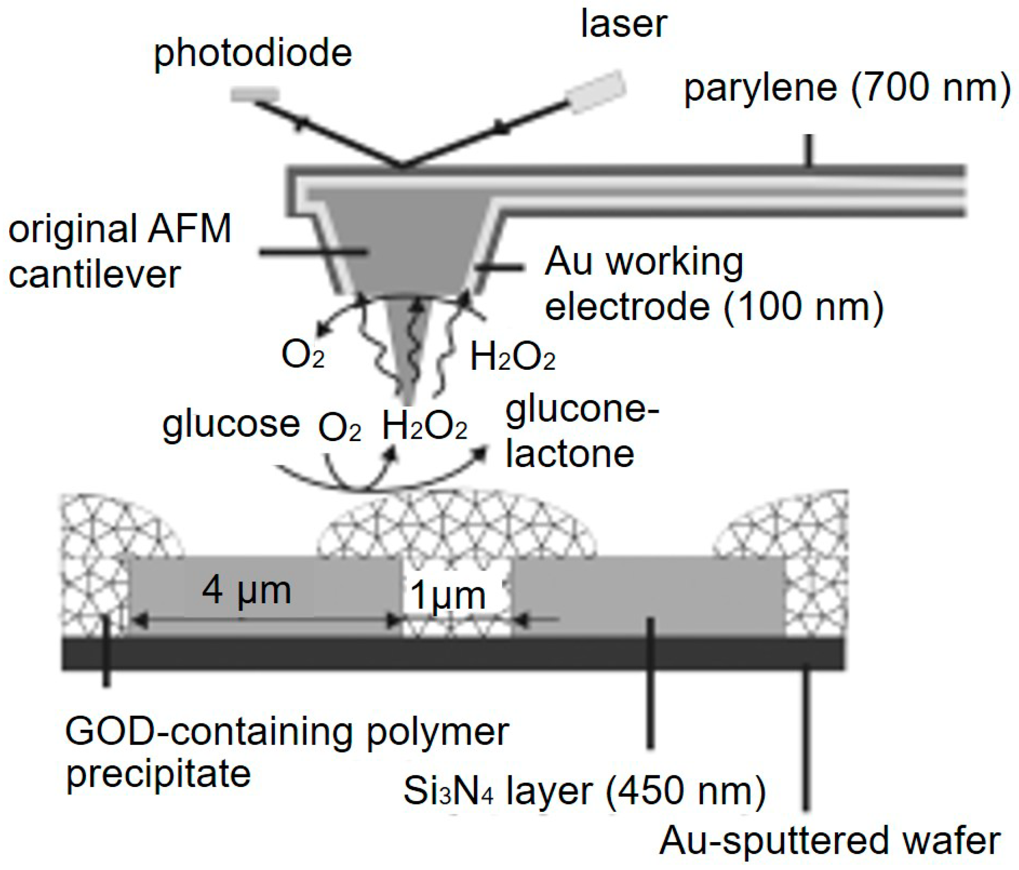 Materials 11 01389 g005 Materials 11 01389 g005