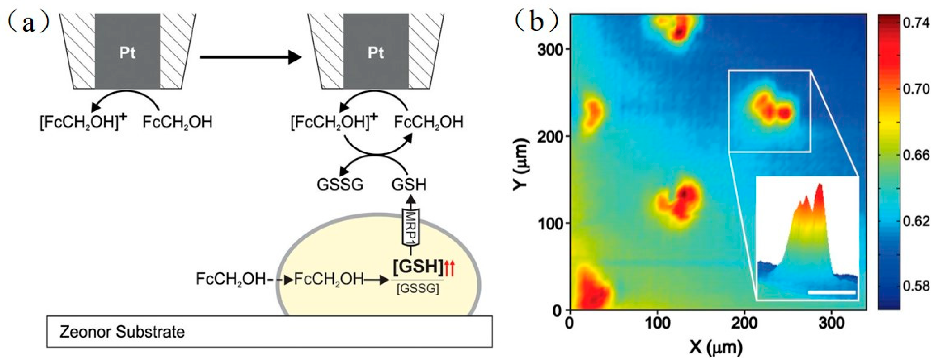 Materials 11 01389 g010 Materials 11 01389 g010