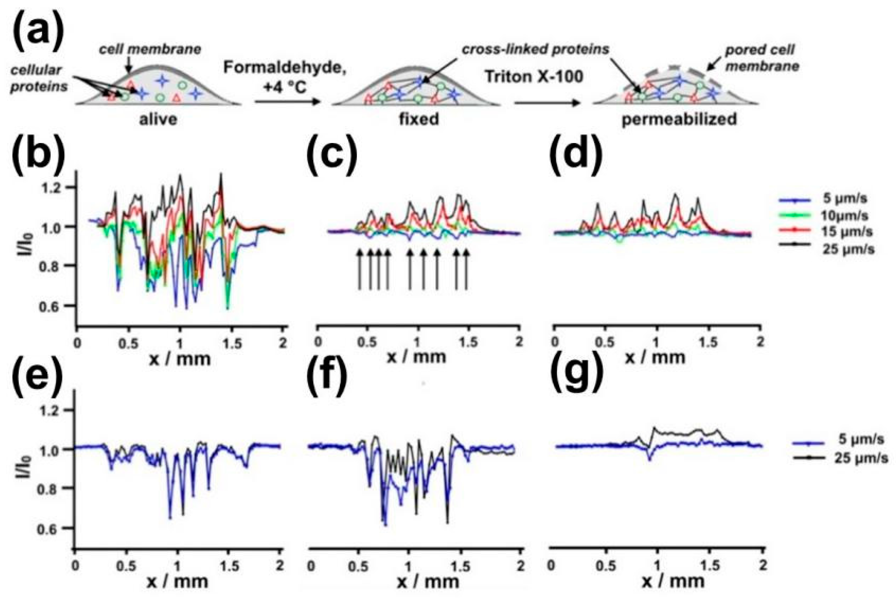 Materials 11 01389 g012 Materials 11 01389 g012