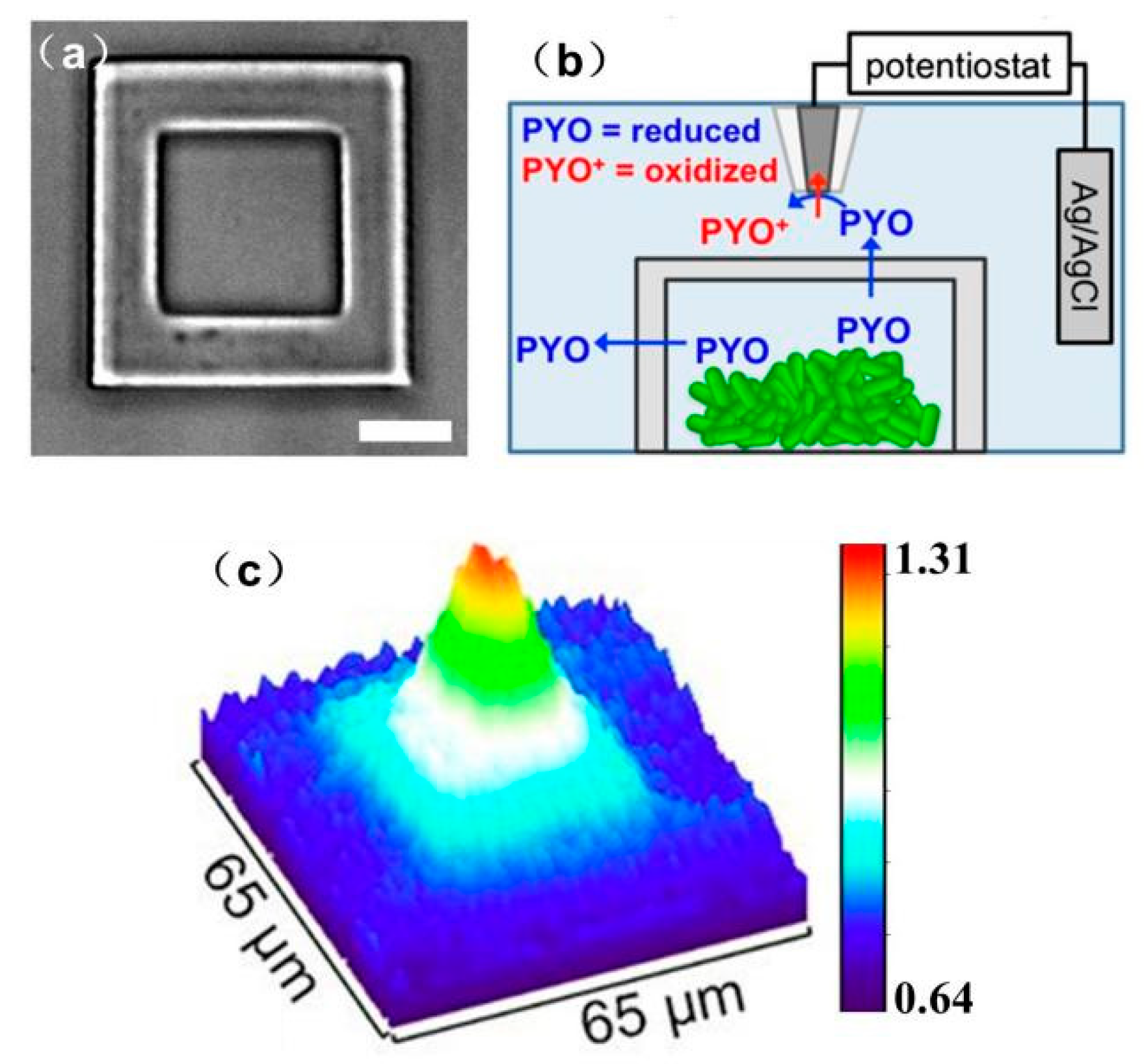 Materials 11 01389 g016 Materials 11 01389 g016